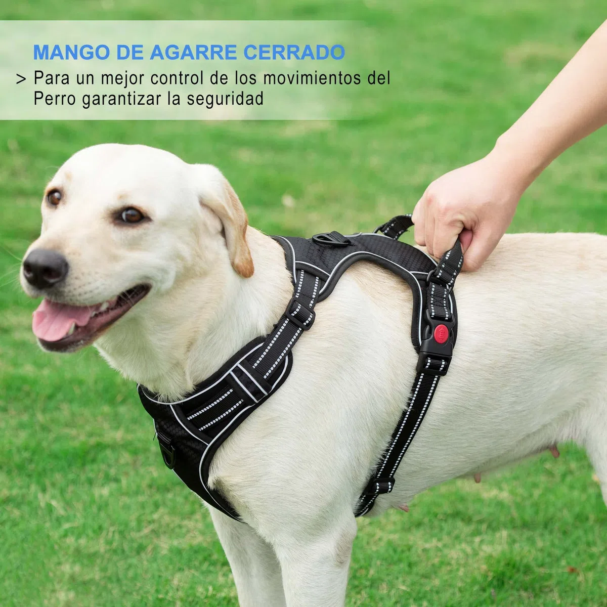 haapaw Arnés para Perro sin Tirar, Ajustable, Reflectante Oxford, fácil de controlar, Mediano y Grande, con una Correa para Perro Resistente