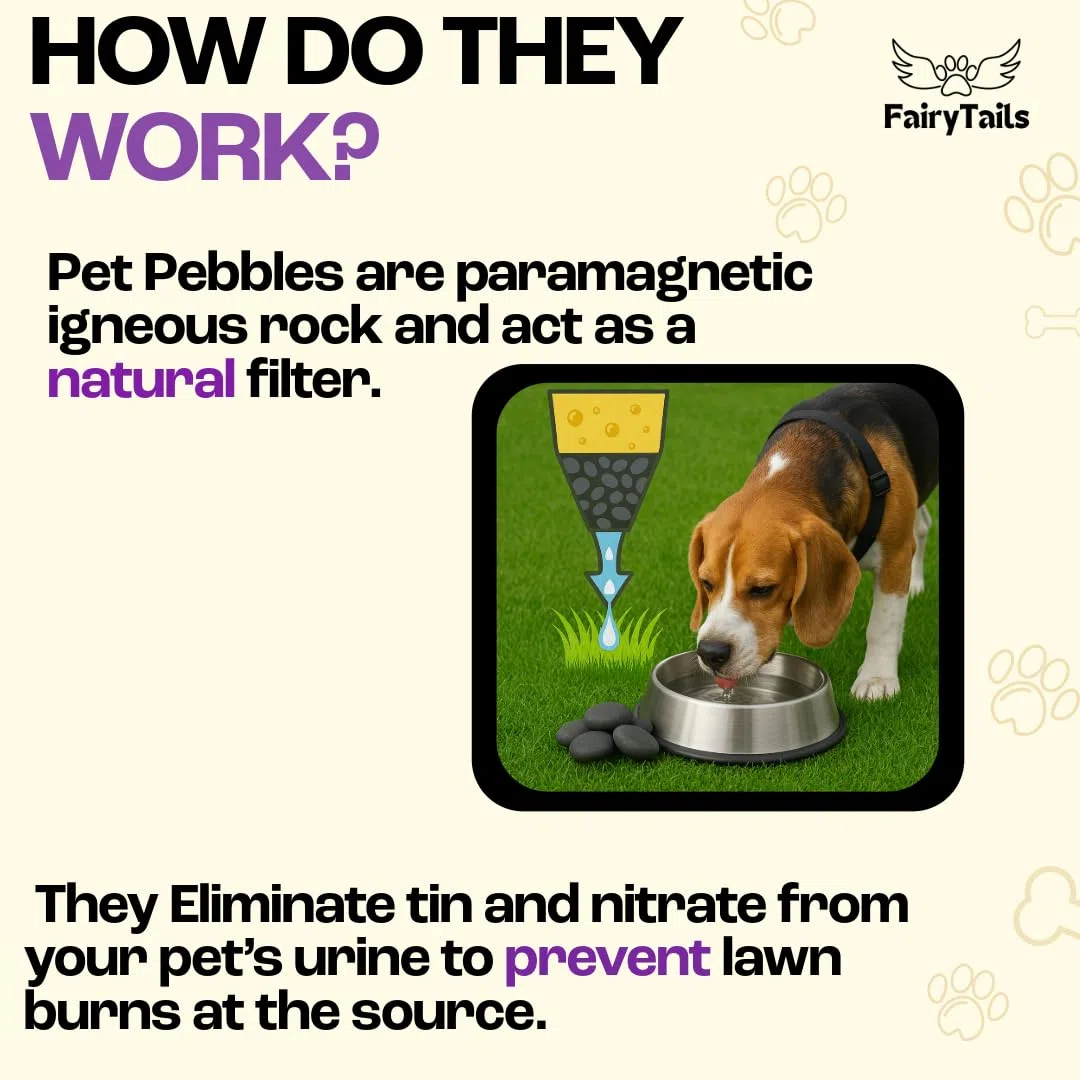 ' Pet Pebbles - Neutralizador natural de orina para perros para cuencos de agua, reparación de hierba, reparación de parches de quemadura de orina y prevención de manchas para mascotas