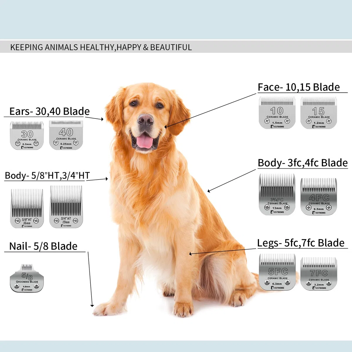 BESTBOMG Cuchilla de repuesto para aseo de perros compatible con cortaúñas Andis/Wahl/Oster (10+40+7FC+5FC+4FC)