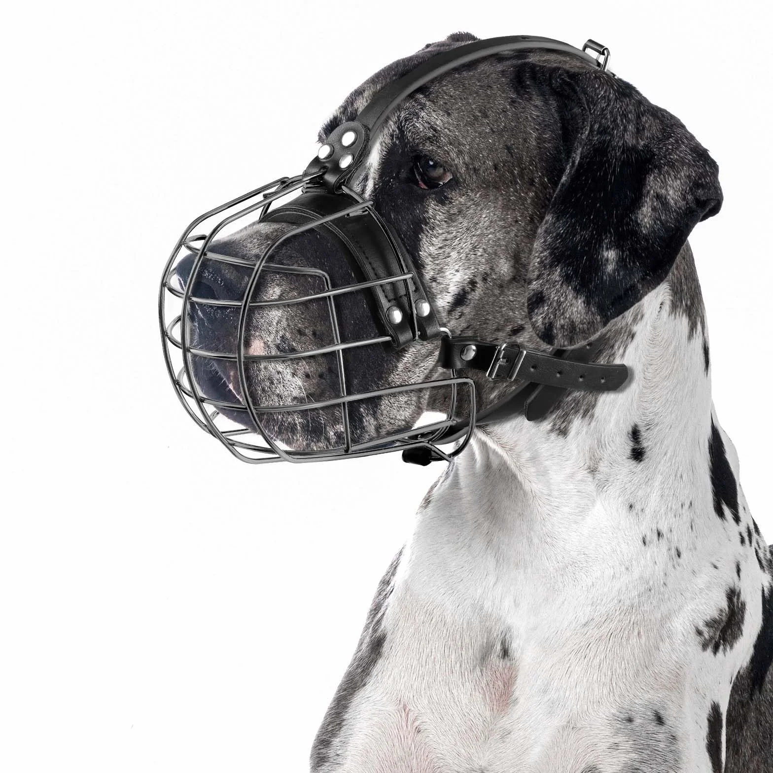 ILEPARK Bozal de Perro de Metal con Correas de Cuero, Pitbull, Gran Danés, Rottweiler, Cesta de Alambre Seguro, Transpirable, Ajuste Ajustable para Perros Grandes (Negro)