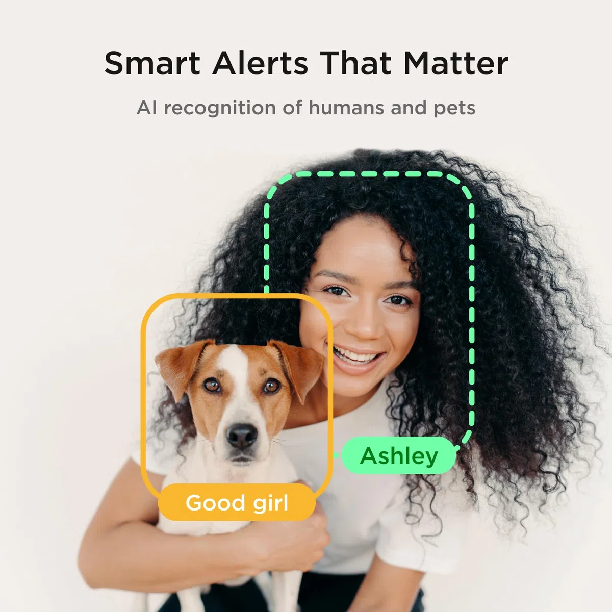 Petcube Bites 2 Lite | Cámara para Mascotas con App, Dispensador de Premios, Vídeo HD 1080p, Visión Nocturna, Audio Bidireccional