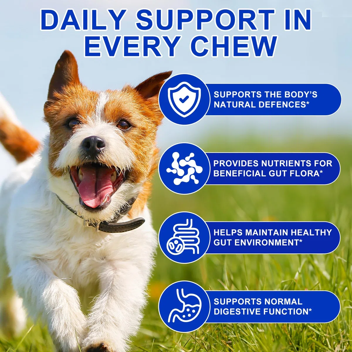 Probióticos para perros, 150 probióticos para la salud intestinal de los perros, pre y probióticos para el apoyo a la salud digestiva del perro, aumenta la salud intestinal y la inmunidad, sabor a