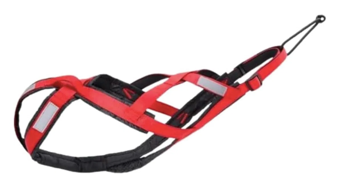 Arnés Total Anti-tirones para Deportes con Perro, Runing, Canicross, Trineo, Mushing, Bicileta, Patinete... (M, Rojo)