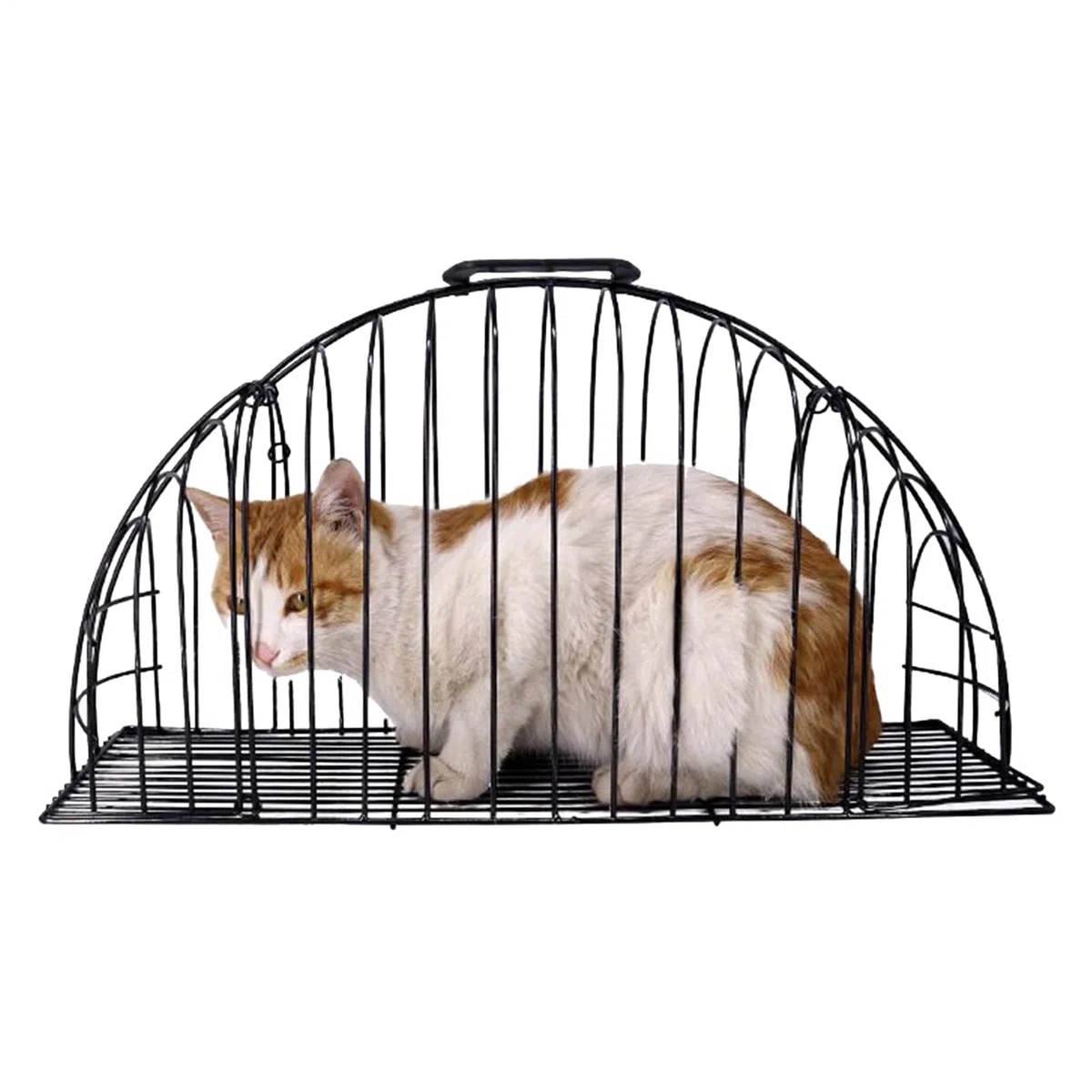 Jaula para Gatos - Jaula de Aseo para Gatos con Malla a Prueba de Mordeduras | Herramienta De Malla Metálica para Lavado Aseo Transporte En Coche Hogar Interior Mascotas