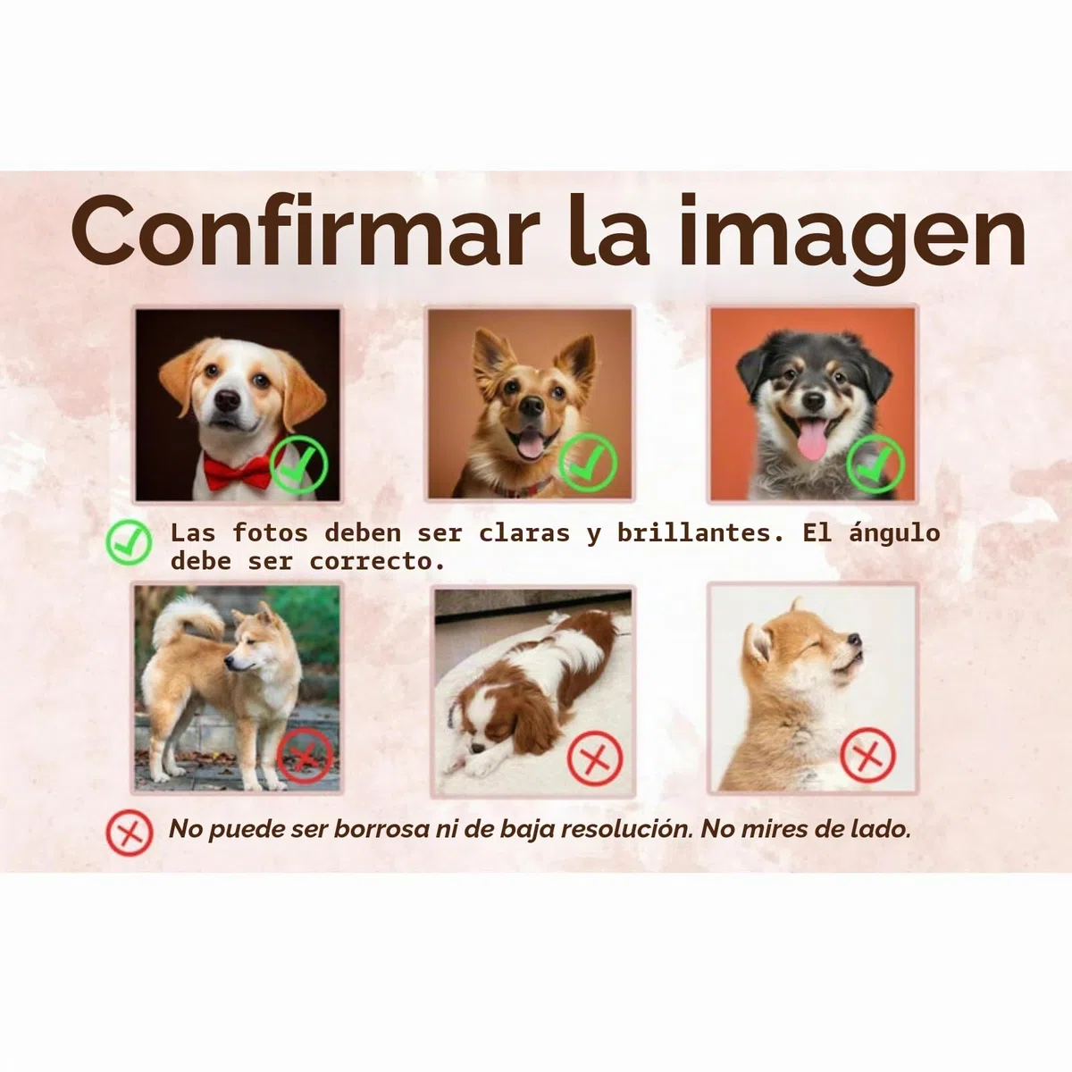 Sudadera personalizada para mascotas, foto de mascota + nombre, suéter personalizado con retrato de perro, sudadera personalizada para perro, sudadera con capucha de cuello redondo para gato, regalo