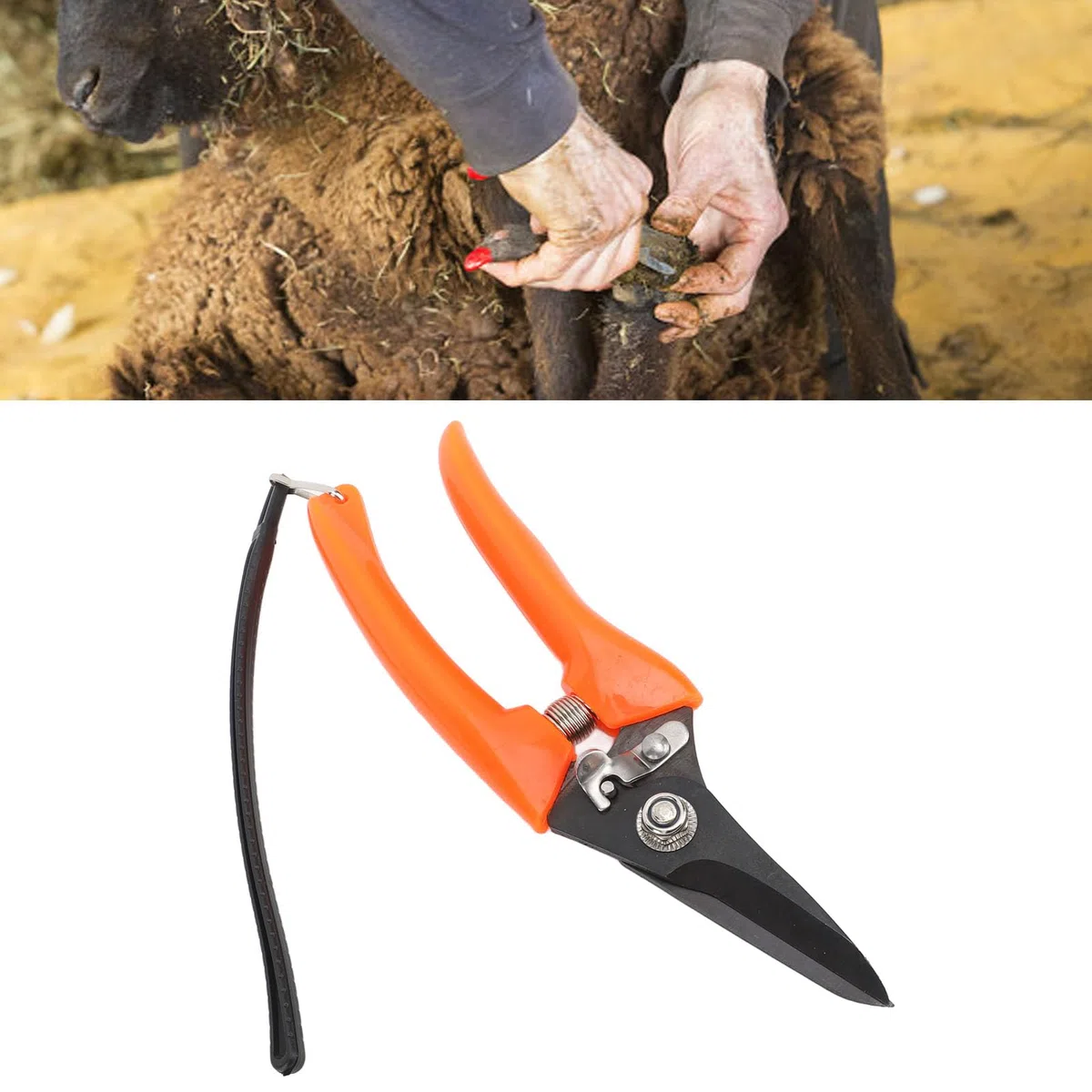 Tijeras para Pezuñas de Oveja Clavos Adornan las Pezuñas de Oveja Tijeras Cuchillo para Recortar Pezuñas Expertos Recortadores de Pezuñas de Alpaca Suministros para el Cuidado