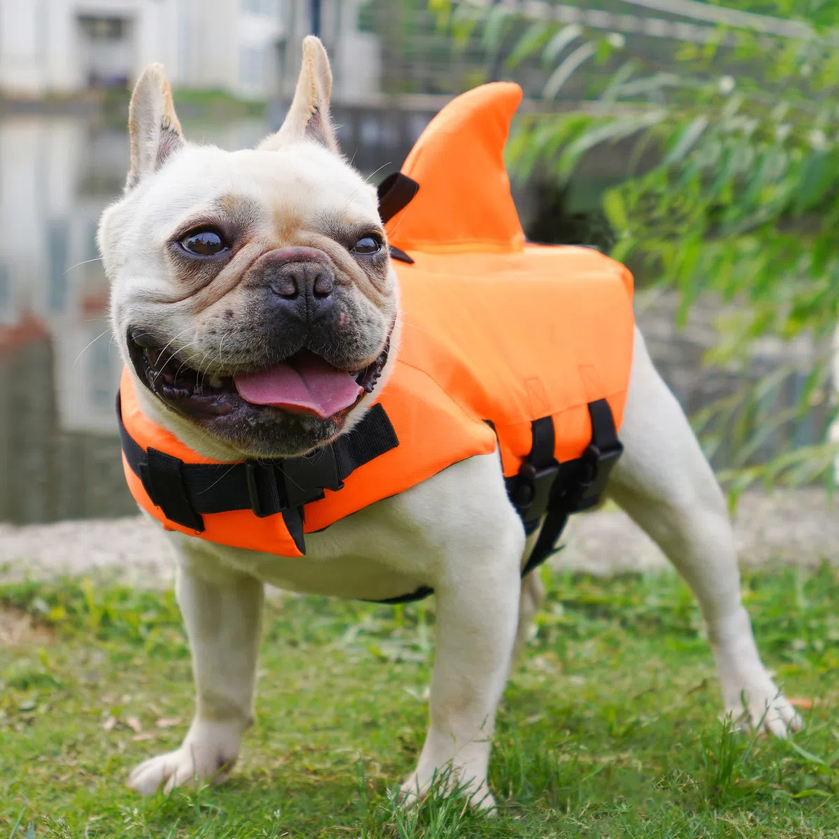 Chaleco Salvavidas para Perros Mascota Cachorro Flotador Piscina Perros Ropa Chaleco de Seguridad Perrito Natación (Naranja, Medium)