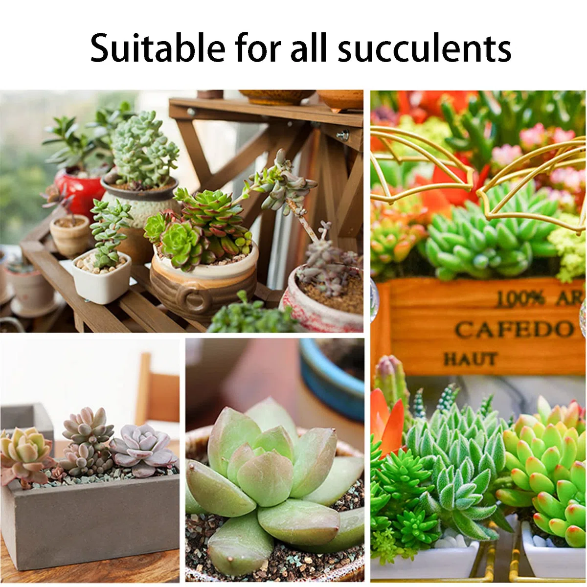 YUNSTK Mezcla de roca de lava hortícola, cactus suculento natural en maceta bonsái para jardín, grava, aderezo decorativo, para interiores, tanque de peces, 2.2 libras