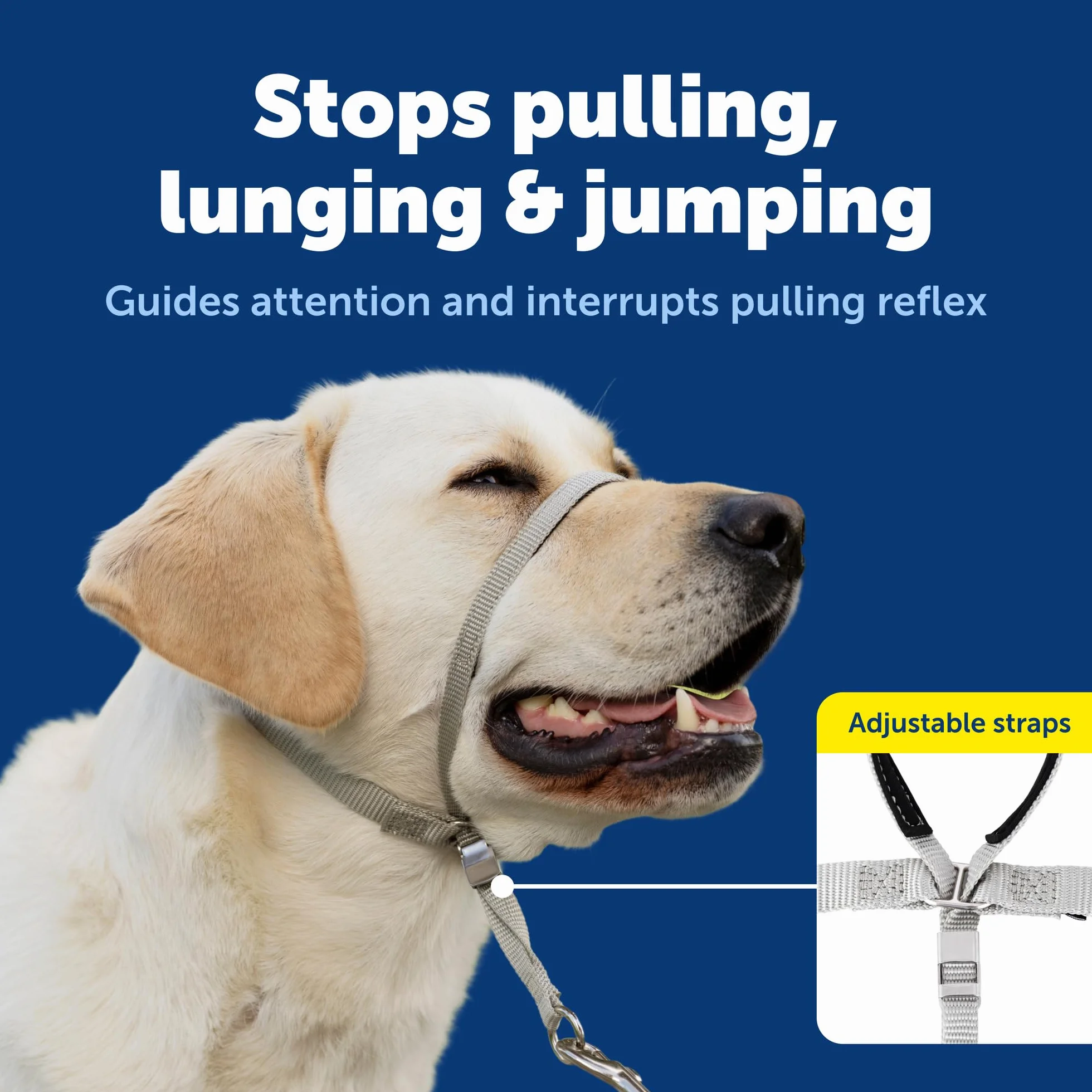PetSafe Collar de Cabeza DVD de Entrenamiento (Idioma español no garantizado)