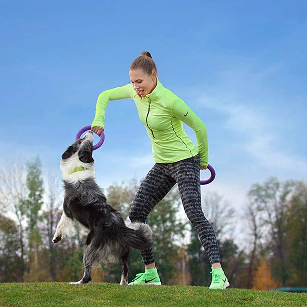Ferplast Juguete Perro, Anillo de Entrenamiento Perros para Masticar, Correr, Saltar, Disparar, Robusto, No Tóxico, Puller Midi, Juegos para Perros Pequeños y Medianos, Juego 2 Anillos de Fitness
