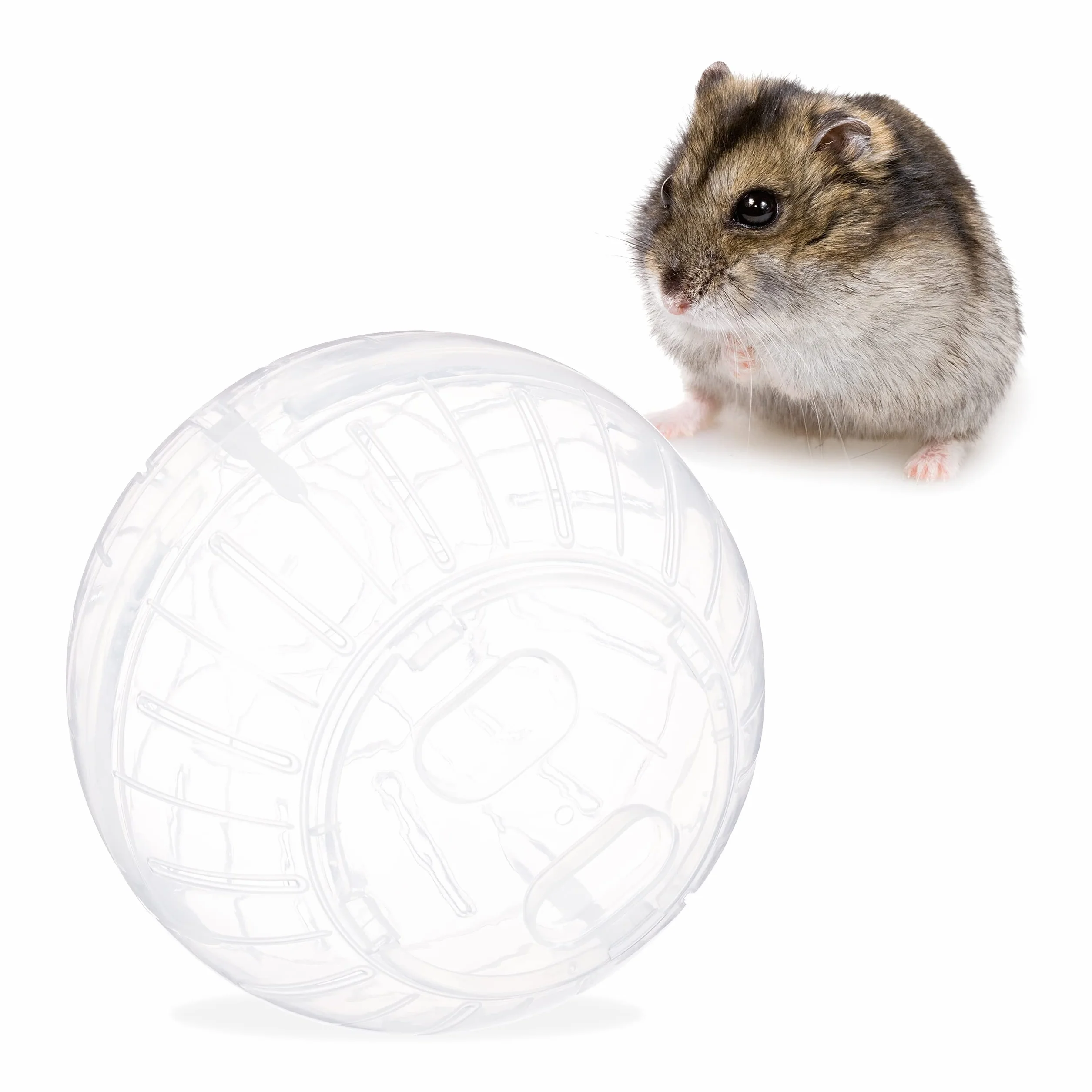 Relaxdays Bola Hámster Juguete para Roedores, Plástico Transparente, 14 cm