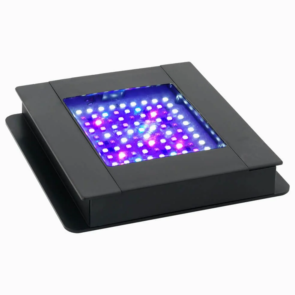 Fluval Iluminación 1 Unidad 250 g