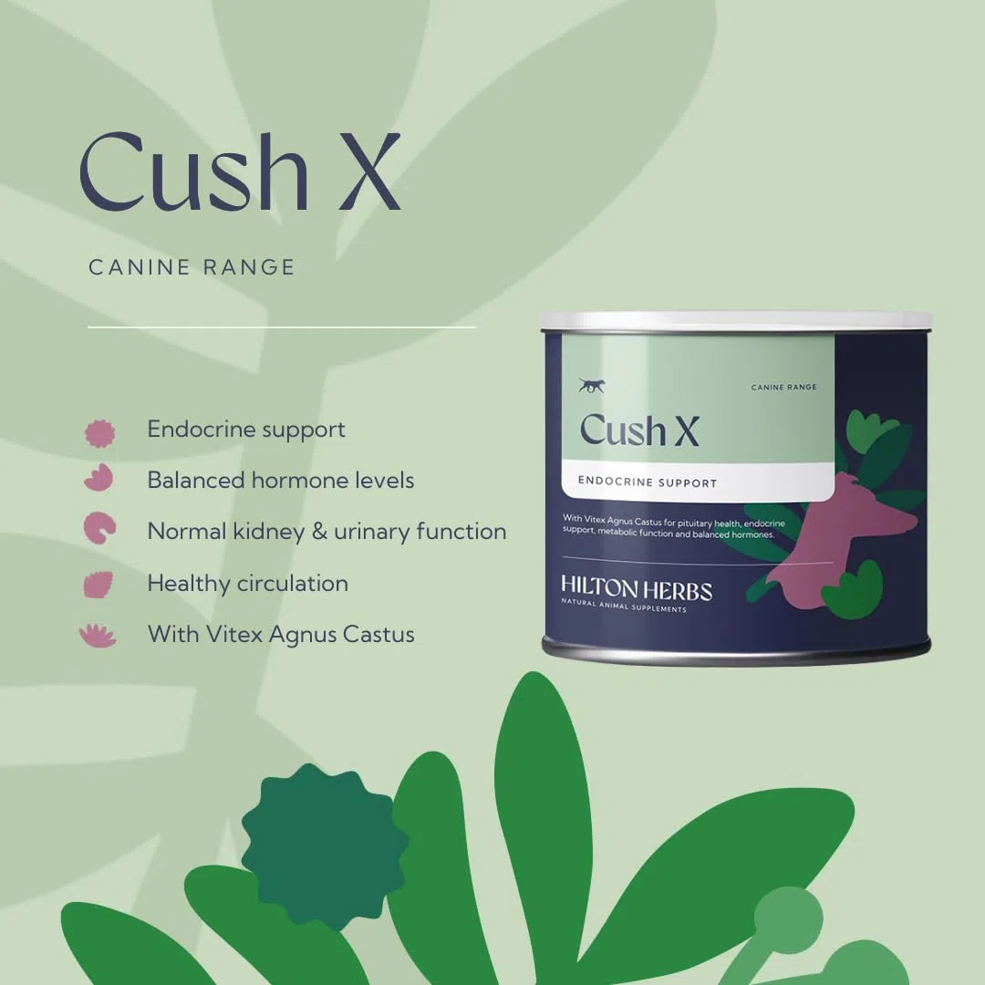 Hilton Herbs Cush X for Dogs - 60 g