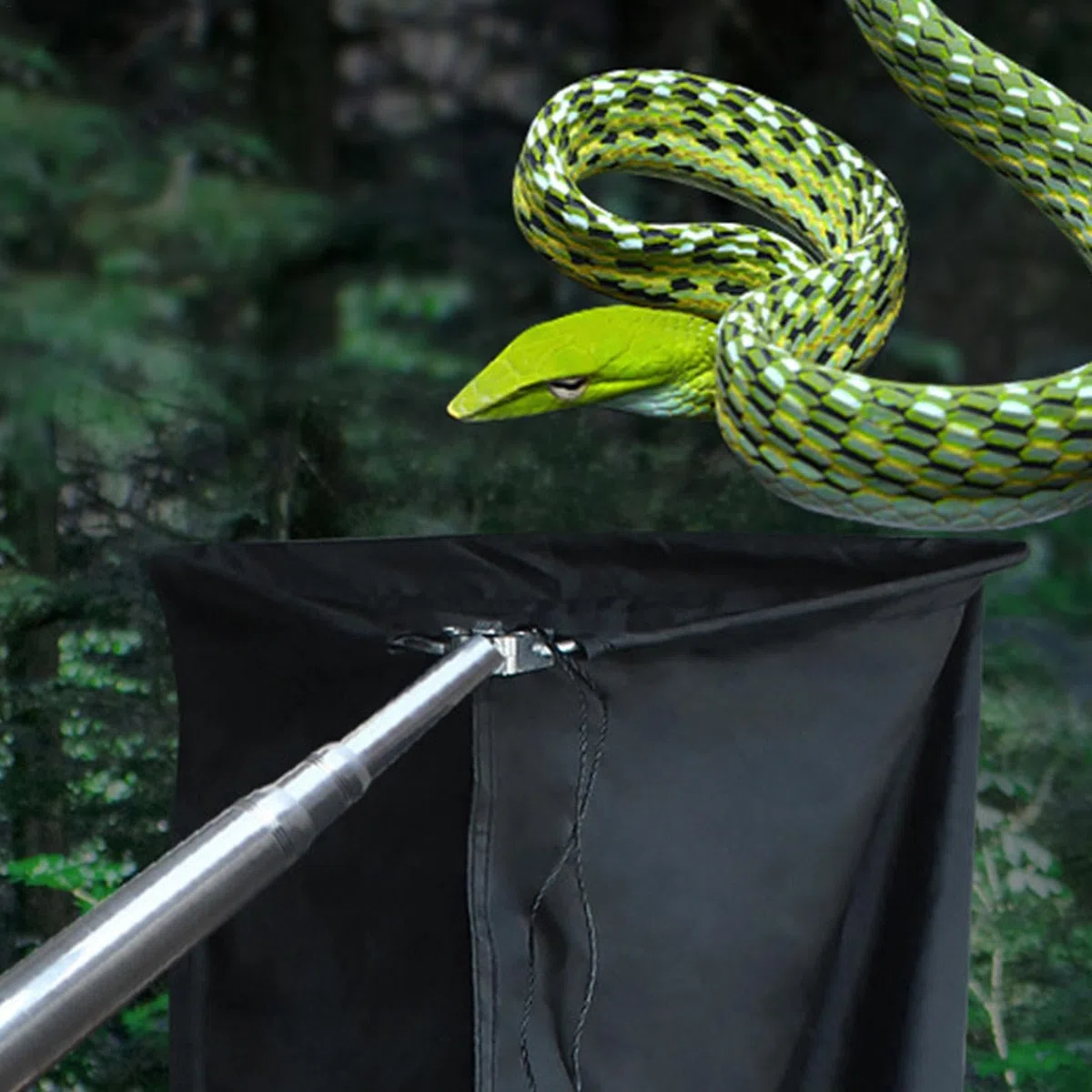 Herramienta para agarrar serpientes, Agarrador para atrapar serpientes | de serpiente extensible con bolsa,Atrapador de reptiles resistente para serpiente de cascabel, herramienta de manejo de largo a