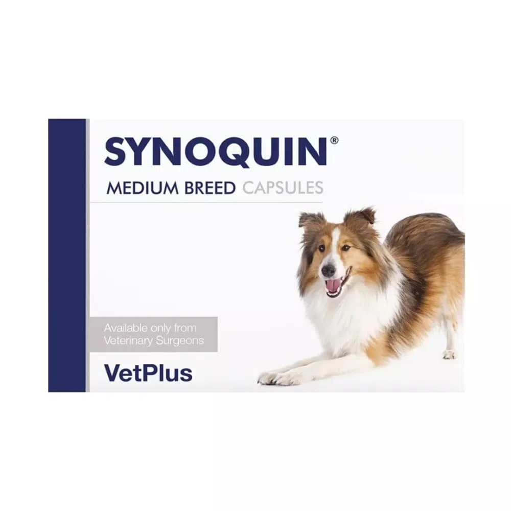 Laboratorios Vetplus Synoquin EFA Razas Medianas, 120 Cápsulas