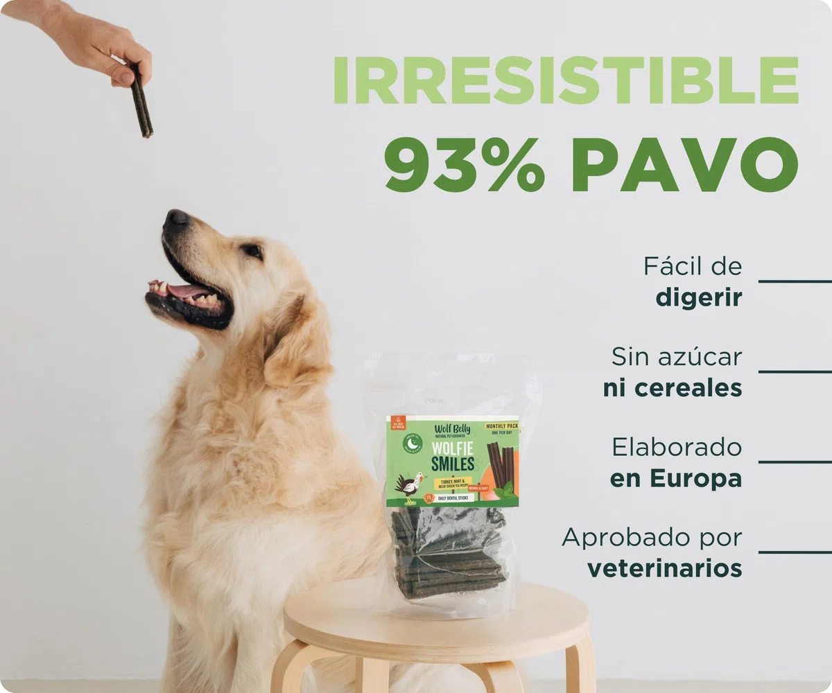 Wolf Belly - Stick Dental Perro Natural (28 uds) 93% Pavo y Menta sin Cereales | Higiene Dental & Aliento Fresco | Textura Resistente | Delicioso Sabor Carne | Rico en Proteínas - Producido en Europa