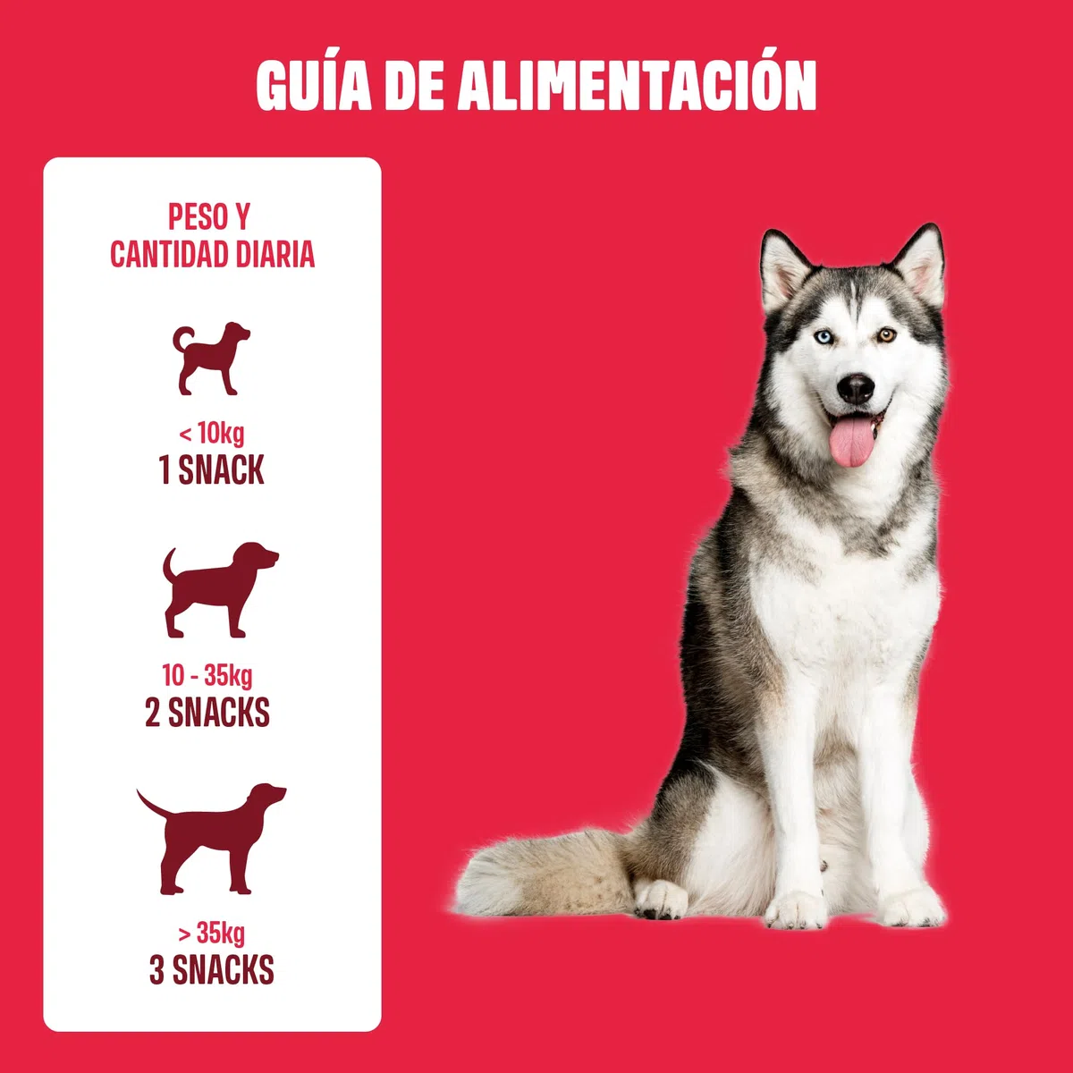 ivvi Allergy Immunity para perros – contra las alergias y picazón y para fortalecer el sistema inmunológico - 60 deliciosos snacks (270g) con salmón