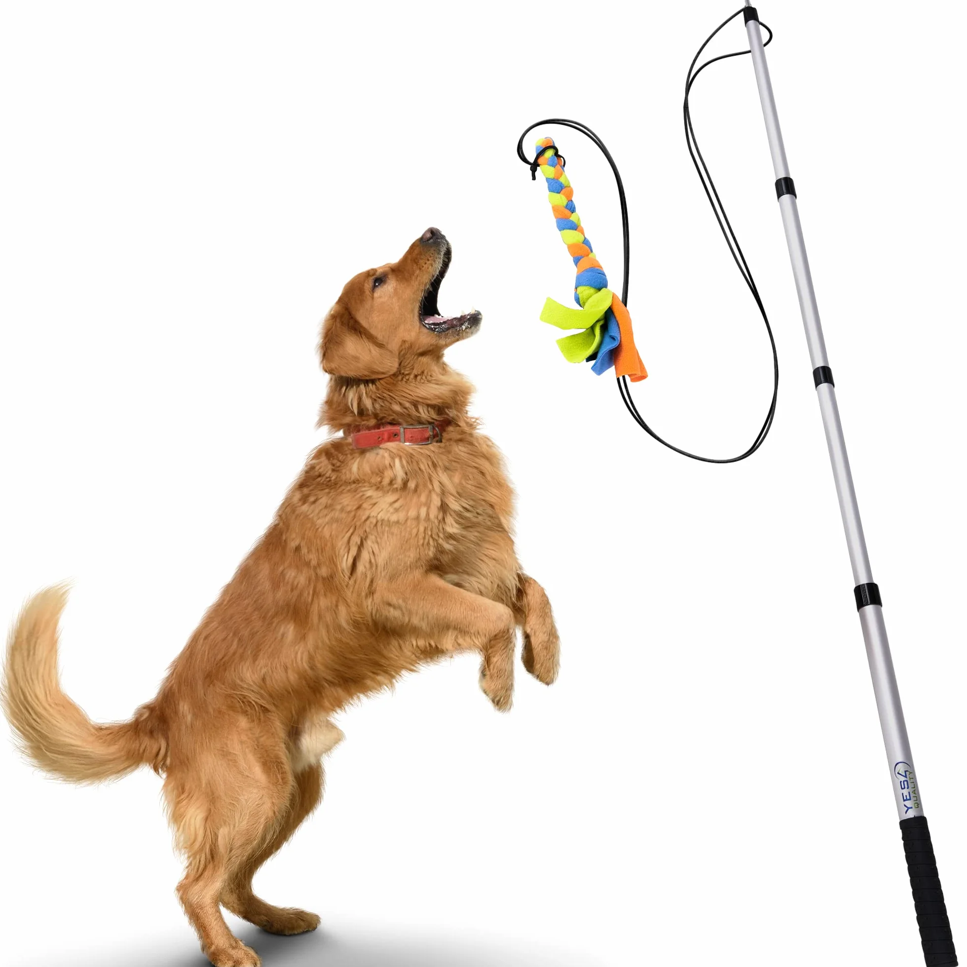 Poste de coqueteo para Perros con cordón no elástico Seguro y Fuerte, señuelo telescópico para Perros de Cualquier tamaño, Juguete para Perros para Entrenamiento y Ejercicio de Yes4Quality