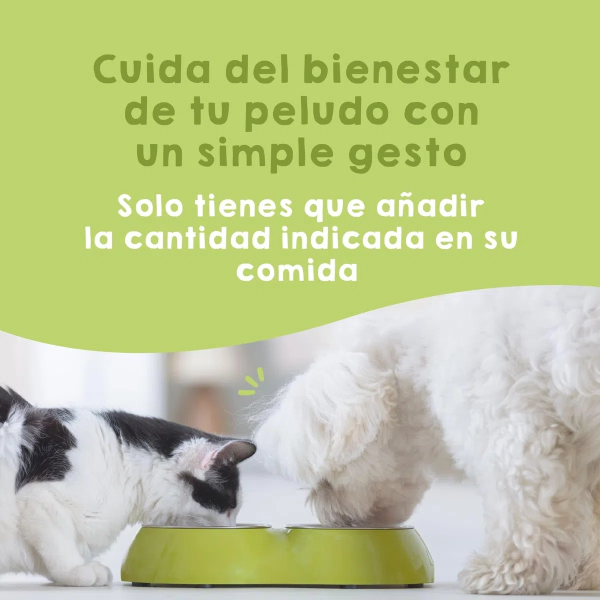 MAIKAI Probióticos para Perros y Gatos - Apoyo Digestivo + Inmunológico Natural - Antidiarreico en Polvo con Omega 3 + Boldo + Coenzima Q10 - Suplemento 150 g para Flora Intestinal y Defensas
