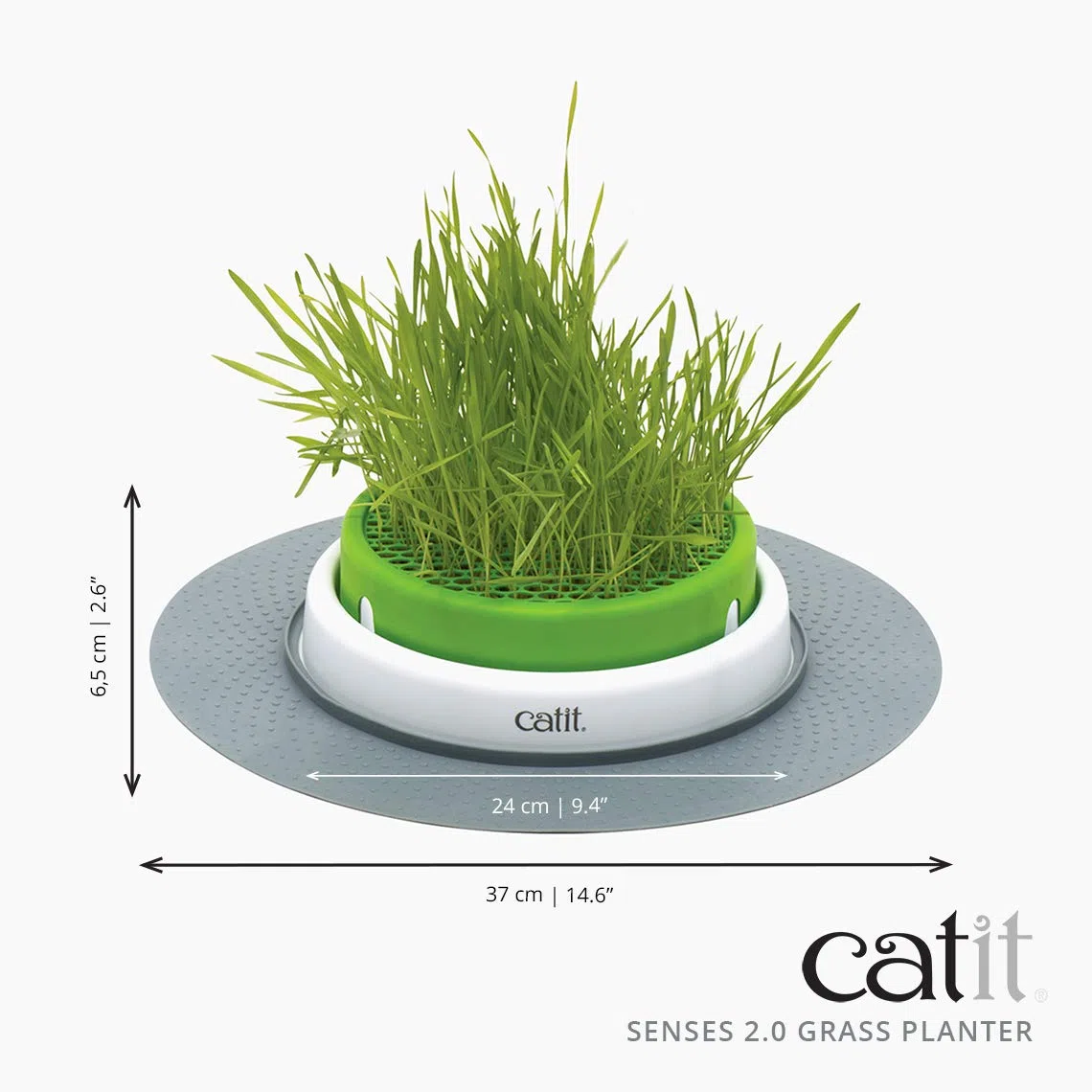 Catit Germinador con Hierba Gatera, Verde, 1 Unidad (Paquete de 1)