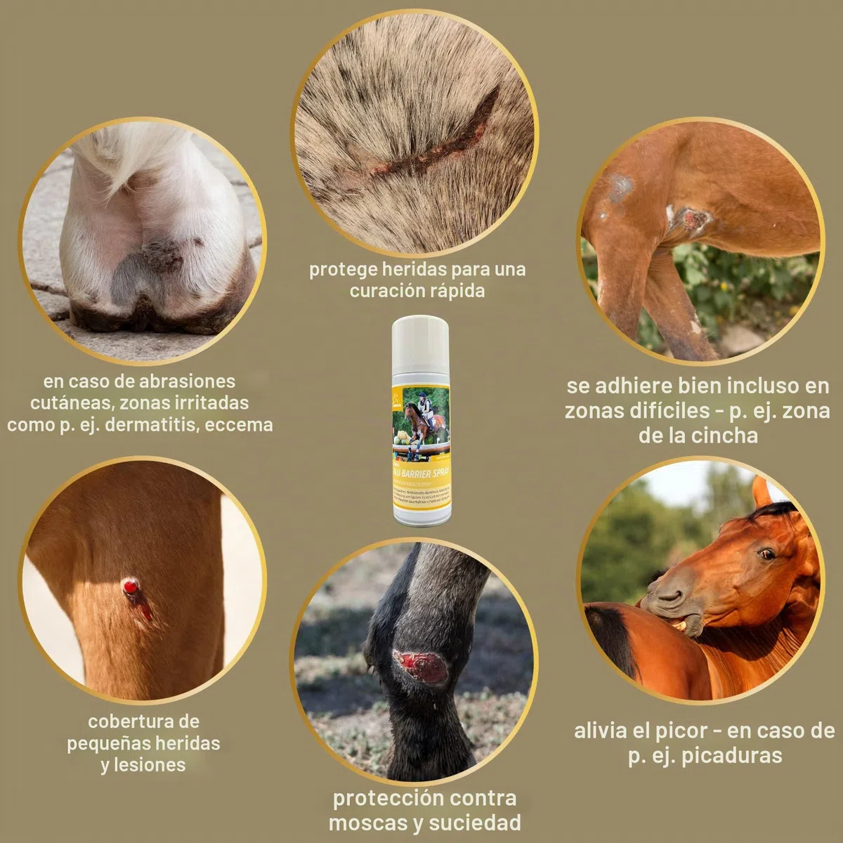 Spray de plata para caballos I Spray protector de heridas para animales I Spray de plata para perros y gatos I Spray de plata de aluminio I Desinfección Yeso en spray I Cuidado y desinfección 2*200ml