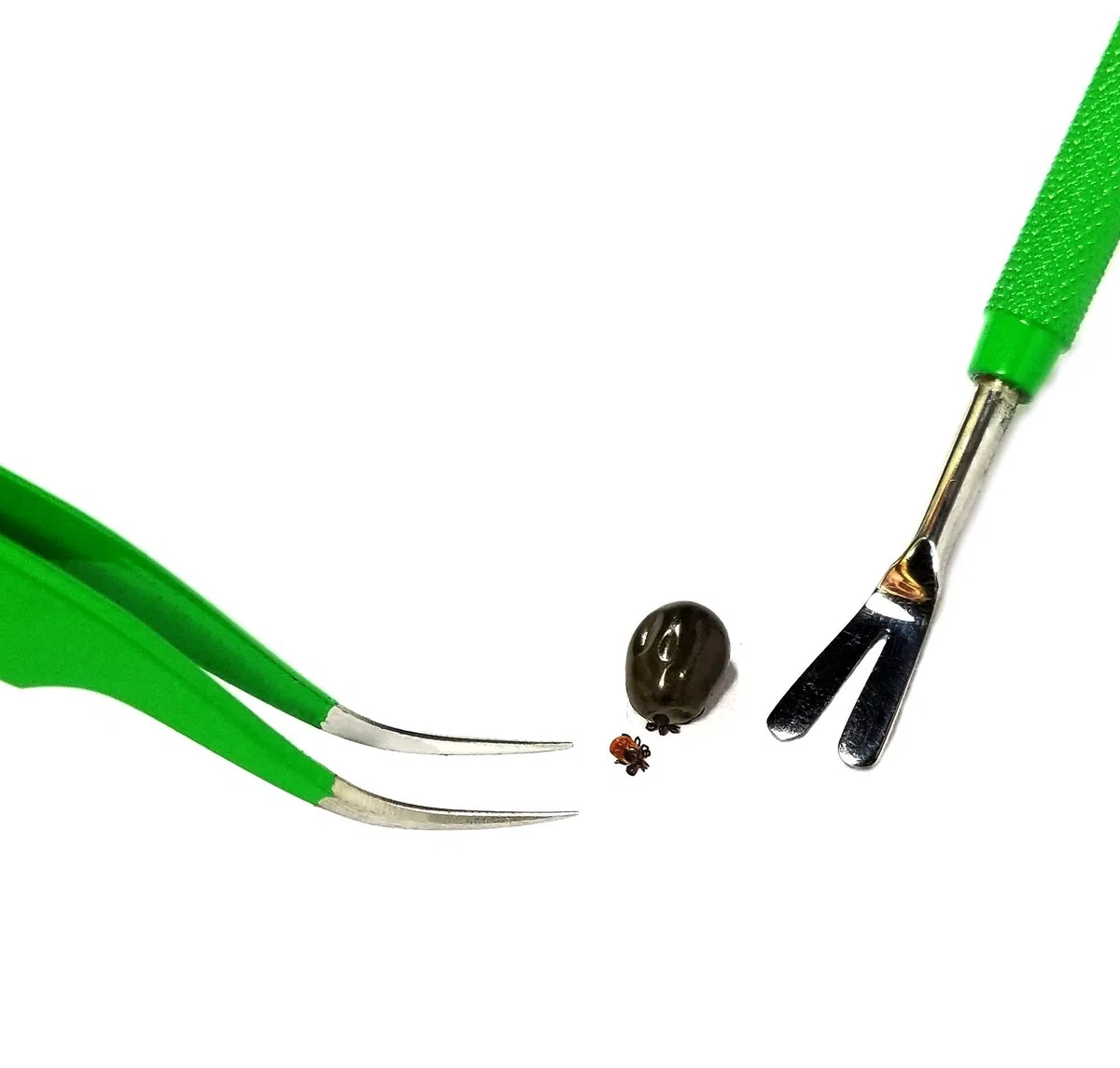 TickCheck Kit removedor de garrapatas (removedor de garrapatas de Acero Inoxidable con Pinzas, Estuche de Cuero y Tarjeta de identificación de garrapatas de Bolsillo) Envase de 1
