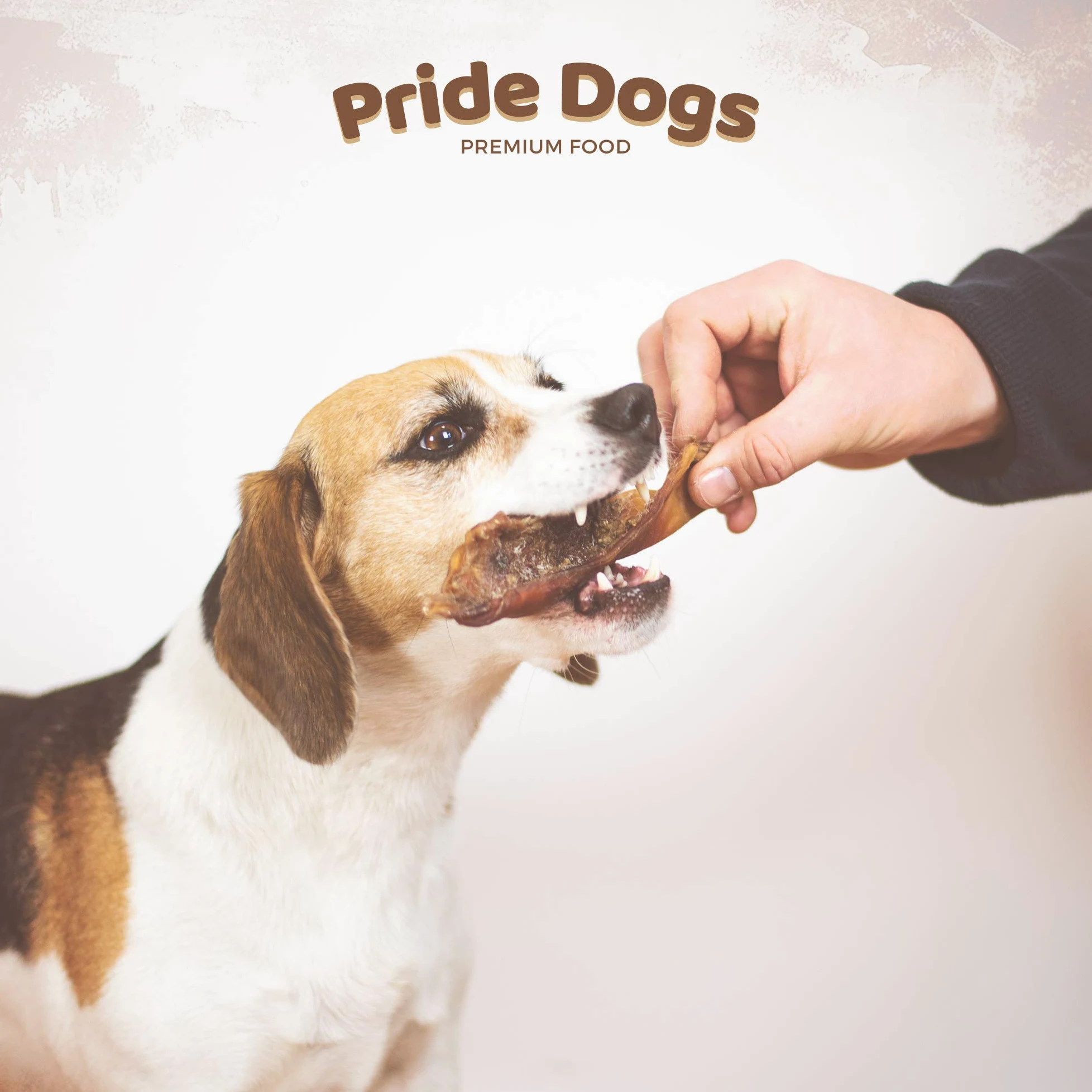 PrideDogs Piel de Cabeza de vacuno 20 cm 500 g de la Premium Kausnack para su perro, 100% vacuno de fabricación alemana, en bolsa inodora