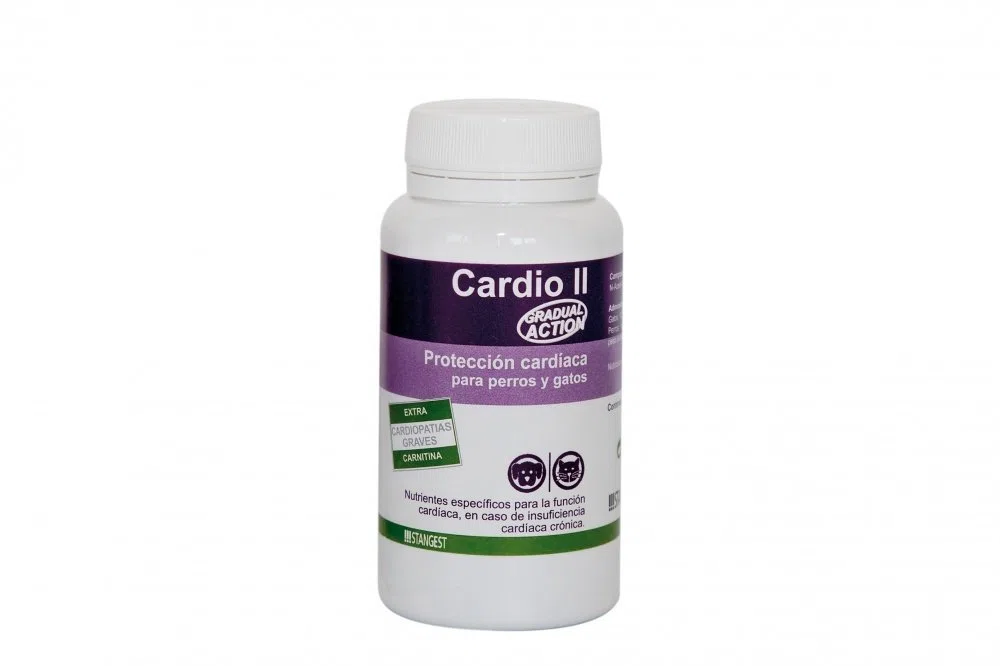 Stangest Cardio II Carnitine 60Cpd