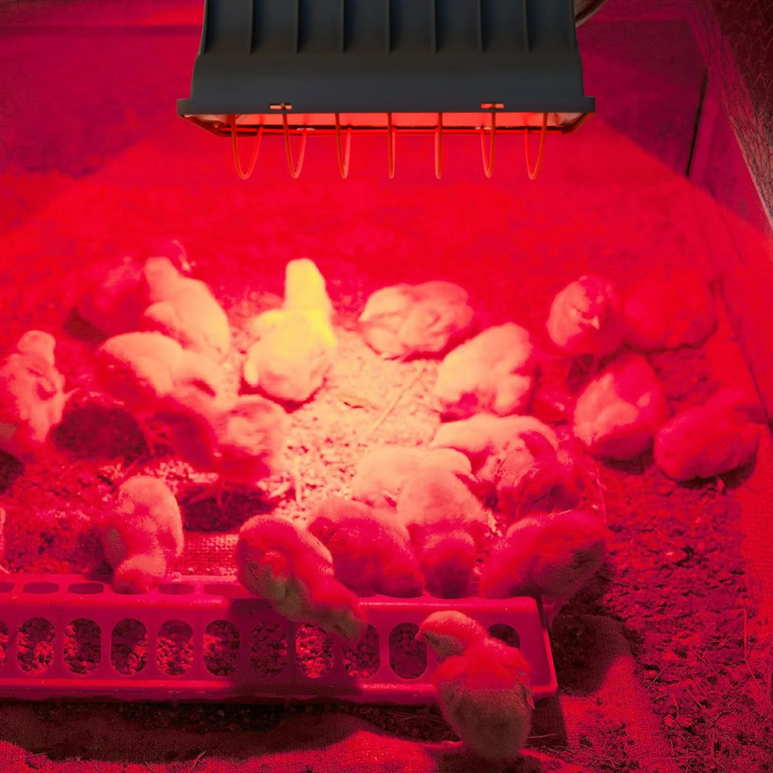Lámpara de calor de 1,8 metros, emisor de calor, lámpara infrarroja de luz roja con interruptor, lámpara de calor para animales, lámpara de calefacción para gallineros, para pollitos etc. (175 vatios)