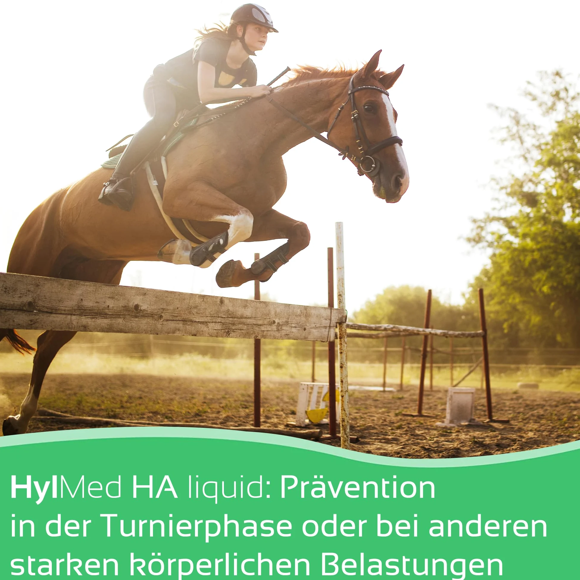HA Liquid Horse - 2 x 500 ml de ácido hialurónico, colágeno y otros nutrientes para apoyar el sistema musculoesquelético del caballo