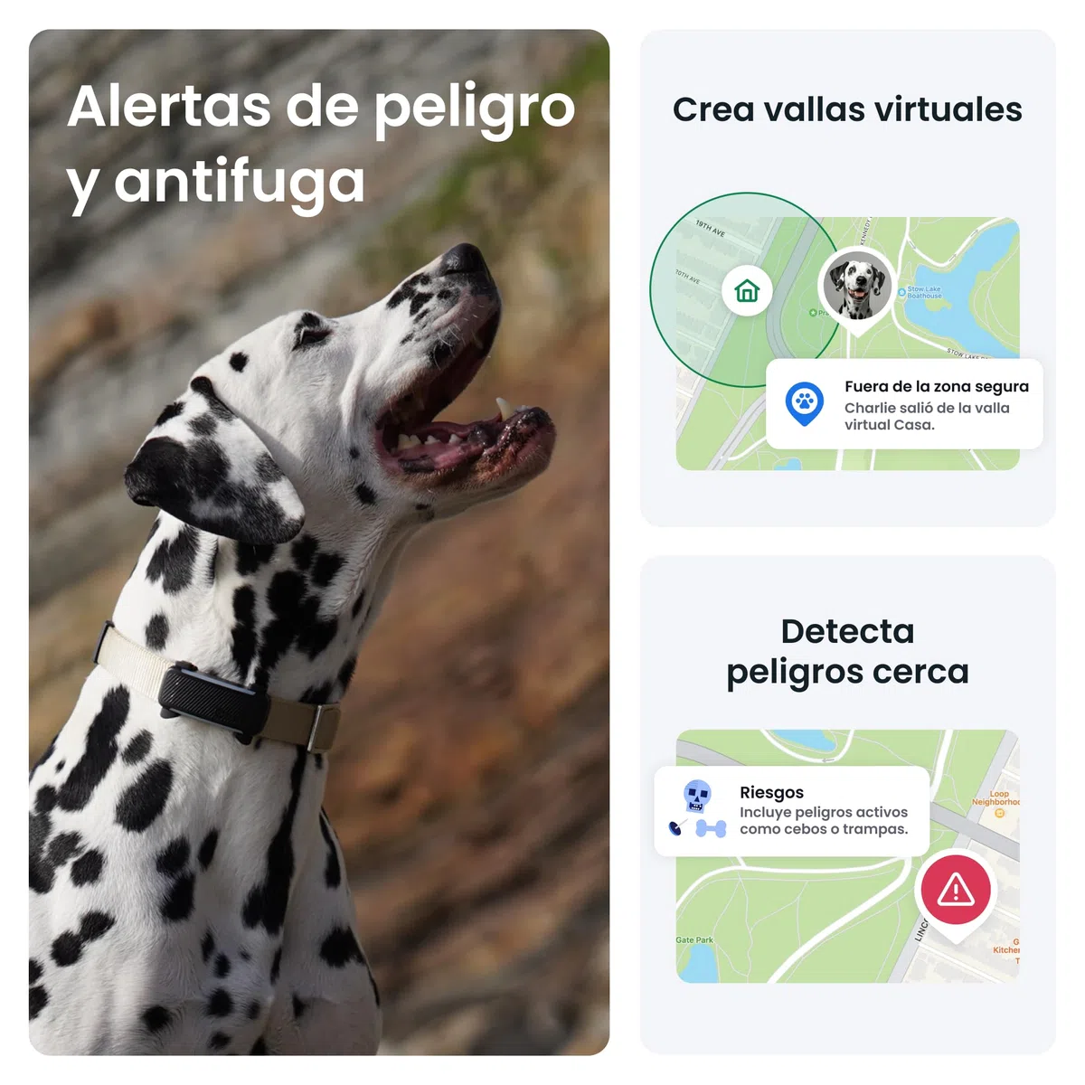 Tractive GPS para Perros Inteligente - Bundle con Funda Verde Oliva | 2025 Edición | Localización GPS en Tiempo Real | Alertas Antifuga y Avisos de Salud | Monitor de Constantes Vitales (Negro)