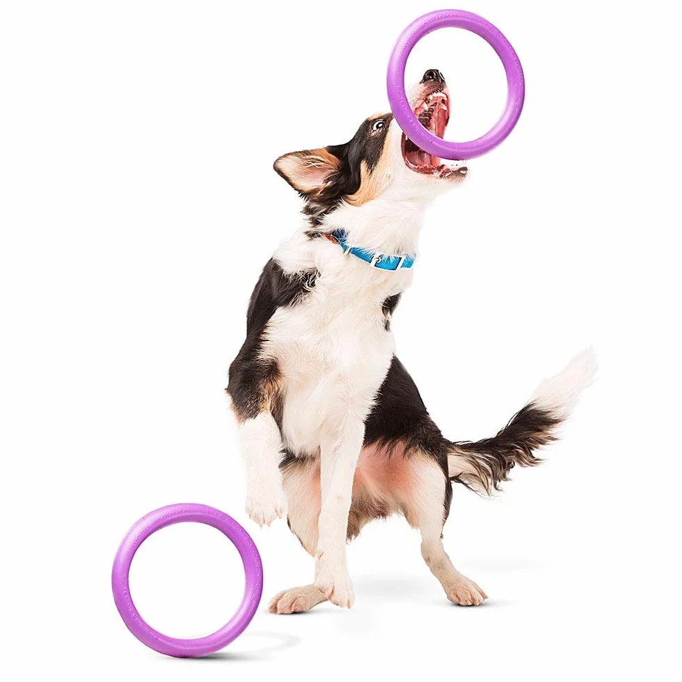 Ferplast Juguete Perro, Anillo de Entrenamiento Perros para Masticar, Correr, Saltar, Disparar, Robusto, No Tóxico, Puller Midi, Juegos para Perros Pequeños y Medianos, Juego 2 Anillos de Fitness