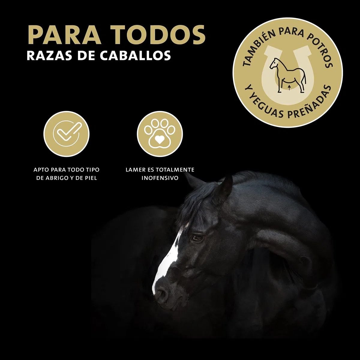 Peticare Cuidado Especial para Caballos arestines, Fiebre del Barro, Dermatitis de cuartilla, para podredumbre, la eliminación fácil de la costra - petHorse Health 2006