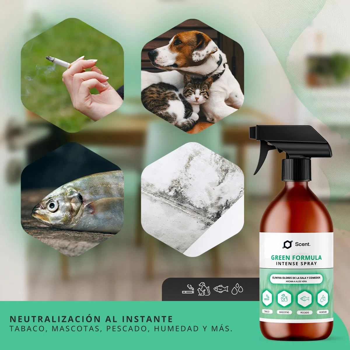 Neutralizador líquido de Olores Multiusos Spray - Fórmula Green - Ideal para eliminar el olor a humedad, mascotas, pescado, comida…, entre otros - Aroma Aloe vera - 250 ml - SCENTECHNOLOGIES