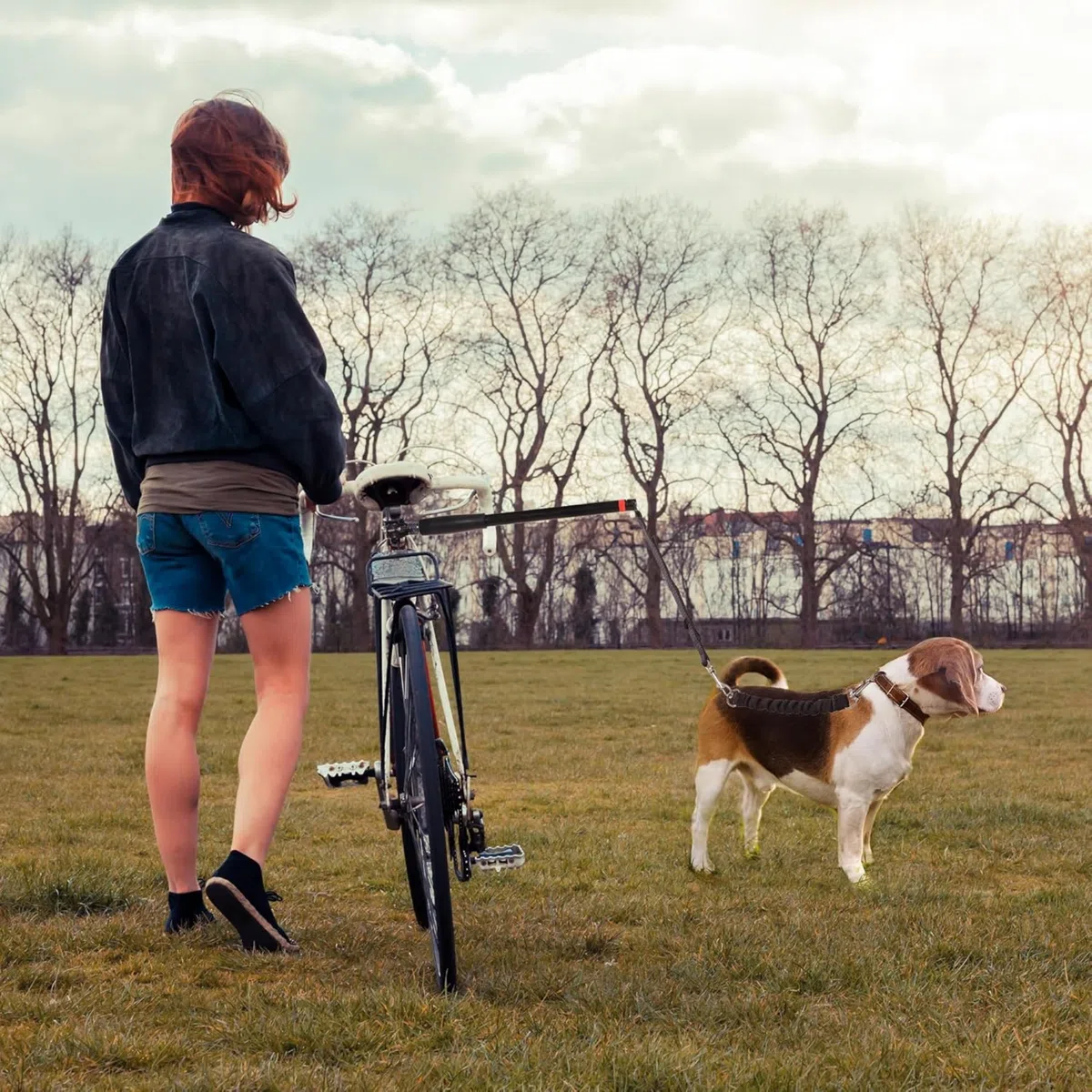 Correa de Bicicleta para Perro, Bicicleta para Perros Manos Libres, Instalación Fácil de Quitar, Correa de Perro Segura para Ciclismo al Aire Libre, para Ejercicio, Entrenamiento y Correr 42.5CM