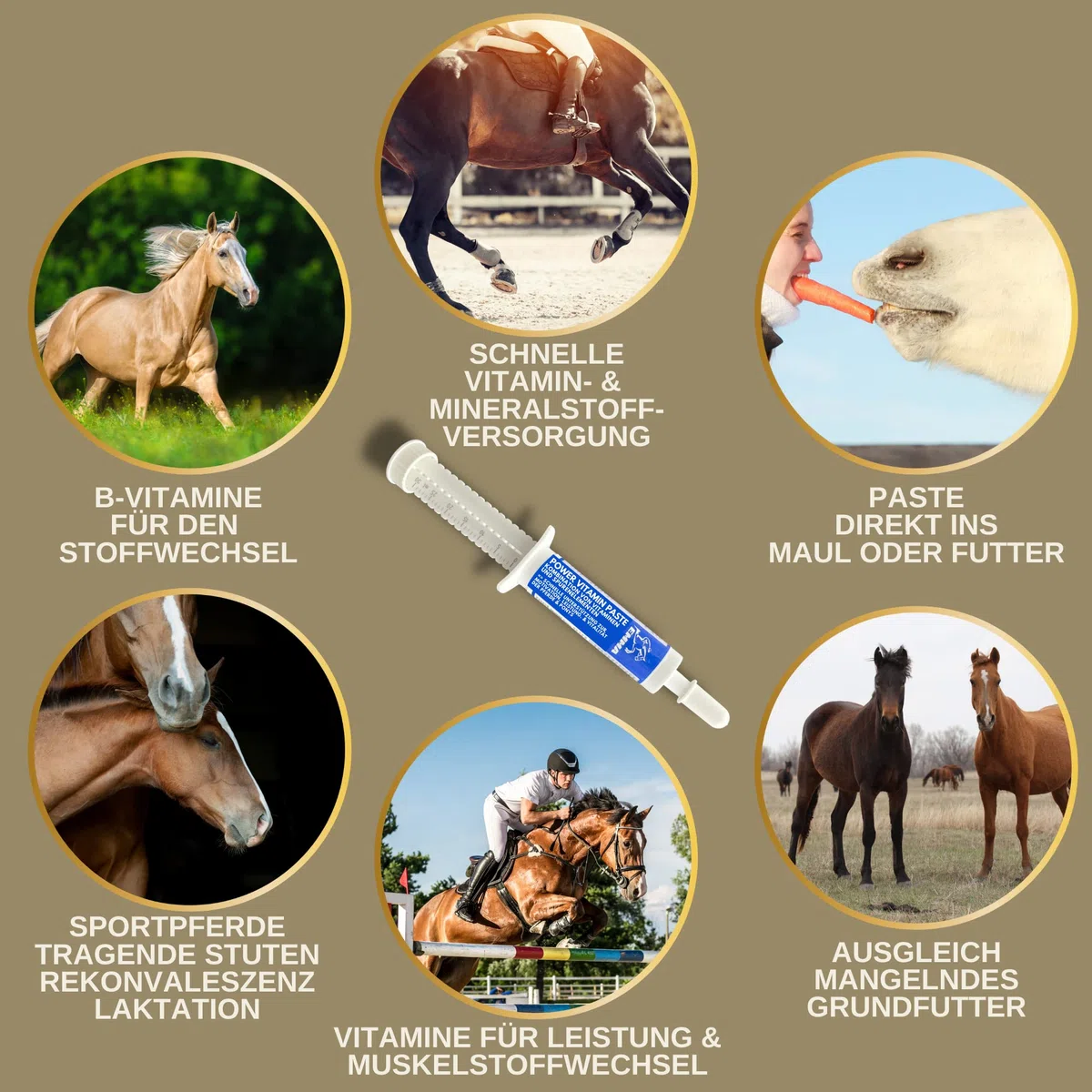 Pasta vitamínica para Caballos I Potenciador de energía Vitaminas B I Complejo vitamínico B12 Lisina Zinc I Minerales I Fortalece el Sistema inmunológico I Vitamina E Oligoelementos Oldie Mares 3pc.
