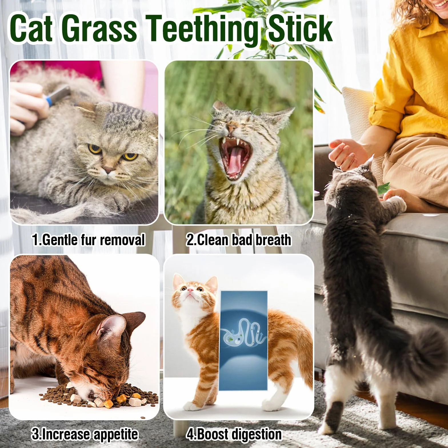 120g Cat Grass Teething Stick Hairballs, De Hierba Para Gatos Palo De Dentición Bolas De Pelo, Palitos De Masticar Para Gatos, Palitos De Juguetes De Hierba Gatera Palo De Masticar De Interior (120g)