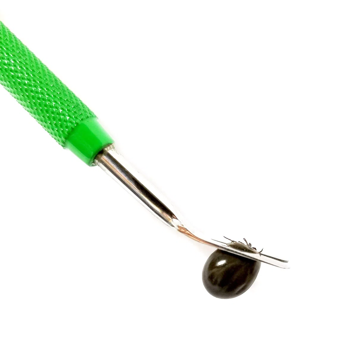 TickCheck Kit removedor de garrapatas (removedor de garrapatas de Acero Inoxidable con Pinzas, Estuche de Cuero y Tarjeta de identificación de garrapatas de Bolsillo) Envase de 1