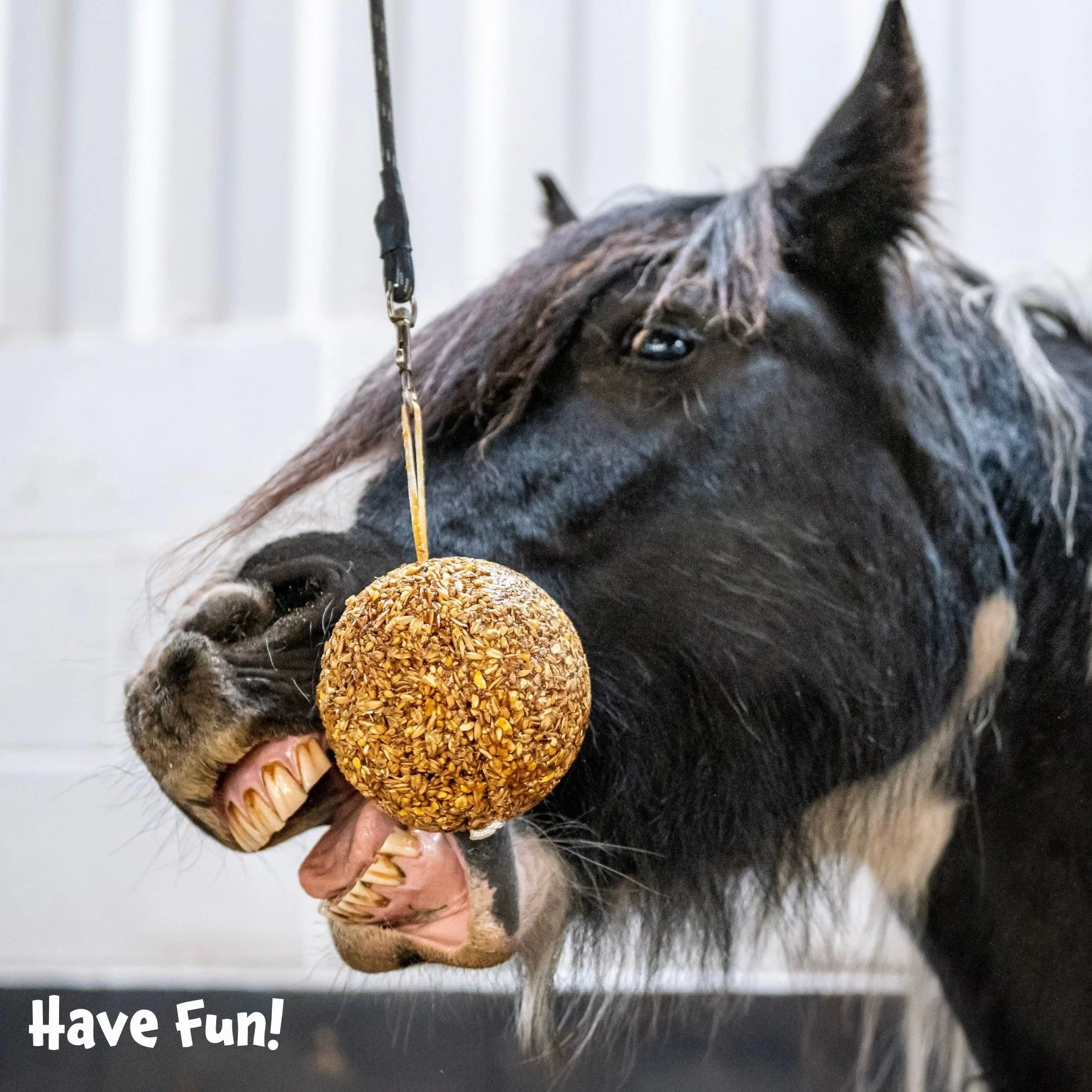 Likit: Juguete para Caballos, Piedra de Fuga con Sabor a Mezcla de Bayas Coloridas, 1.6 Kilogramos