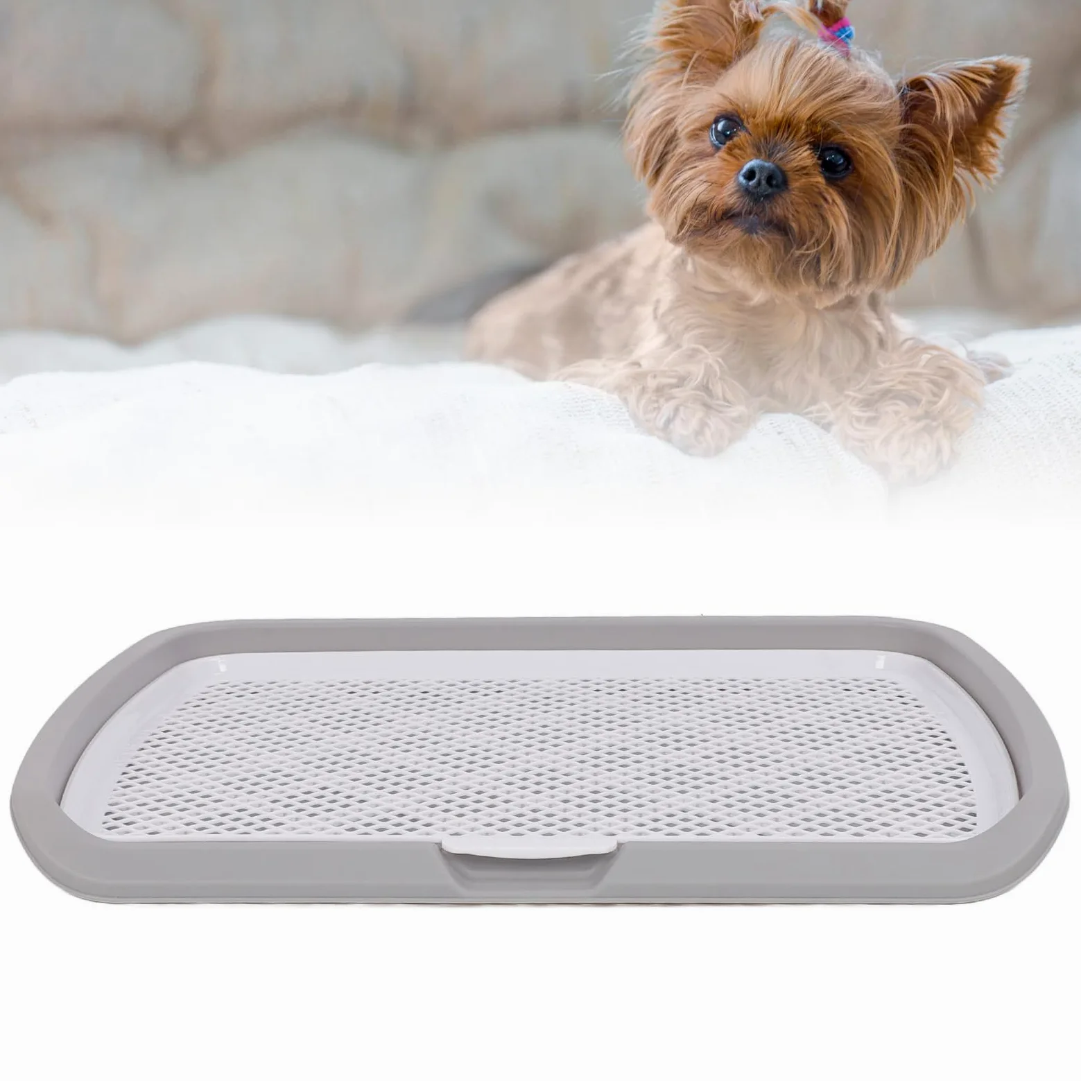 ZJchao Caja de para Perros, Bandeja para Orinal para Perros, Inodoro para Adiestramiento de Perros, Soporte para Almohadilla para Orinar para Cachorros, Soporte para Almohadilla de