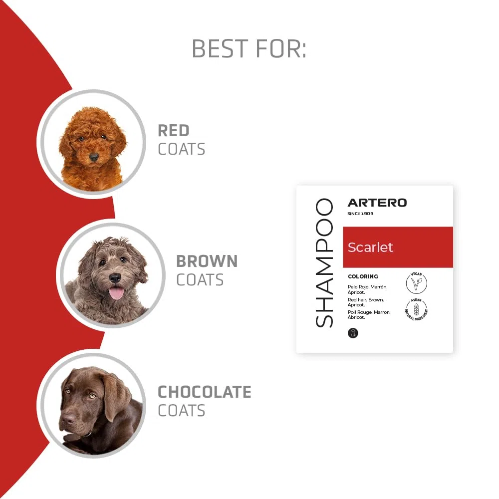 Artero Scarlet. Champú para Perros Intensificador del Color Natural para Pelajes Rojos, Marrones y Chocolate – Brillo Duradero, Hidratación Profunda y Fórmula Suave – con Pigmentos F– 650 ml