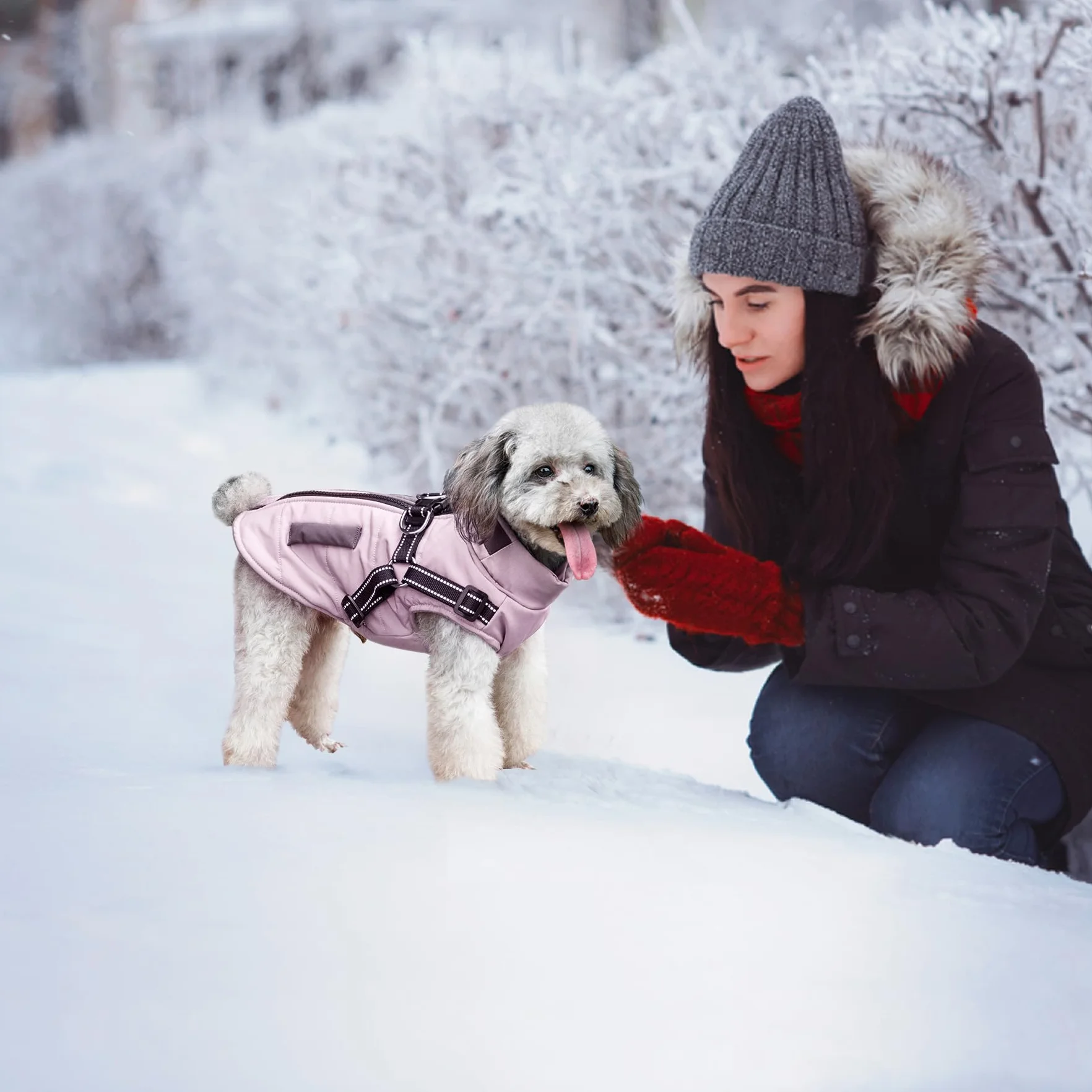 Chaquetas de Invierno para Perros,Abrigos cálidos para Perros Ropa Reflectante para Perros Chaleco Impermeable para Cachorros con arnés para Perros pequeños y medianos