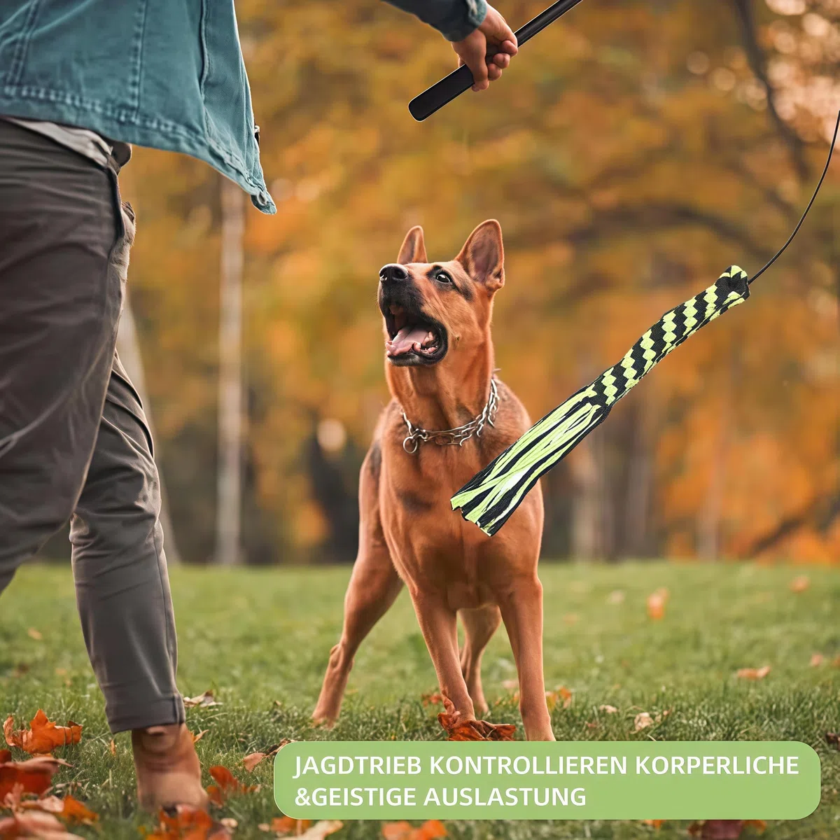 Irritante para Perros,para Entrenar y exponer Perro Teaser Varita, Perro Extensible Teaser,Entrenamiento de Mascotas Juguetes interactivos,Perro Flirt Pole,Entrenamiento de Mascotas Juguetes