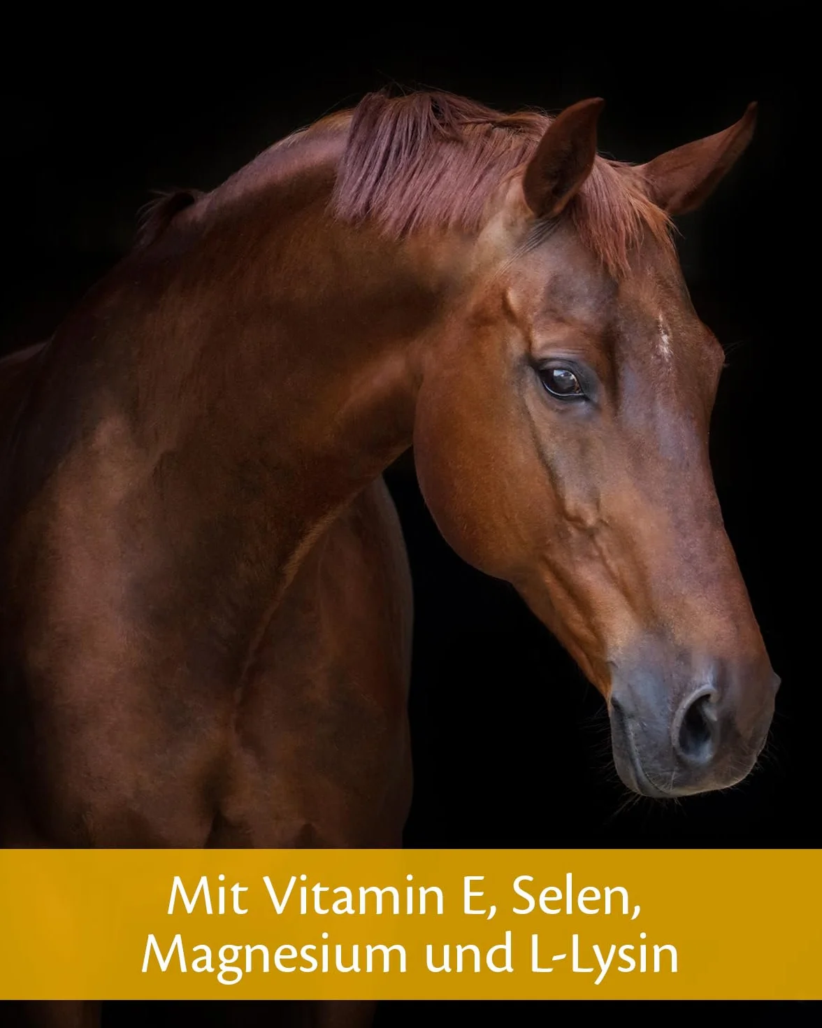 EQUISTRO Excell E | Complemento alimenticio para caballos | Apoyo de la función muscular | Ayuda a aliviar el sobreesfuerzo muscular y la tensión | 3 kg
