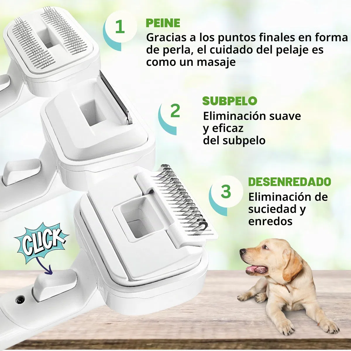 SAFE 'N CLEAN Cepillo para pelo de animales, accesorio para aspiradora, cepillo para perros, cepillo para gatos, juego 3 en 1, compatible con Dyson Miele, Siemens, Rowenta, AEG Karcher, incluye
