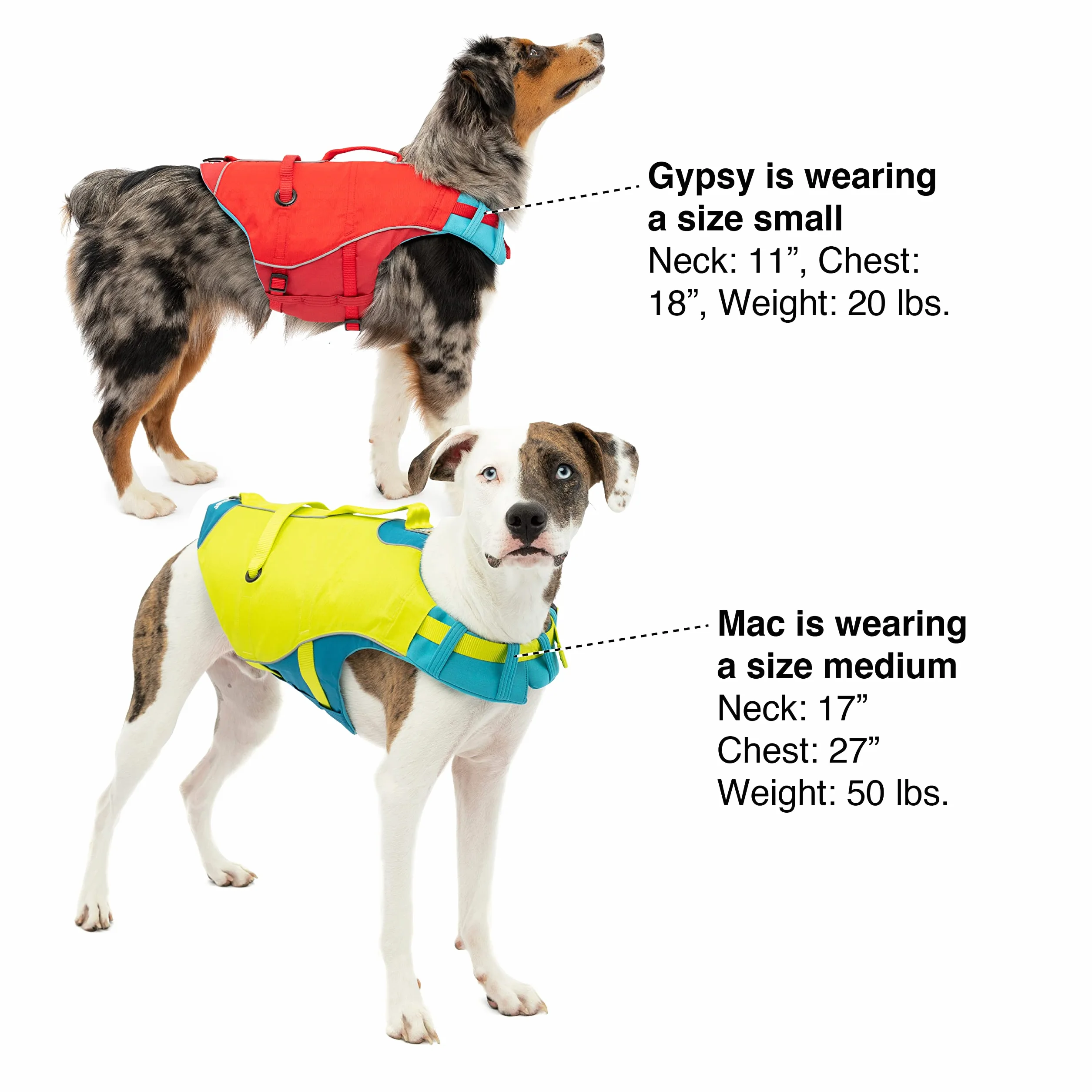 Kurgo Surf n' Turf Chaleco Salvavidas para Perros, Chaleco Salvavidas para Nadar, Chalecos flotantes para Perros, PFD, Reflectante, Ajustable, Azul/Verde, Talla S