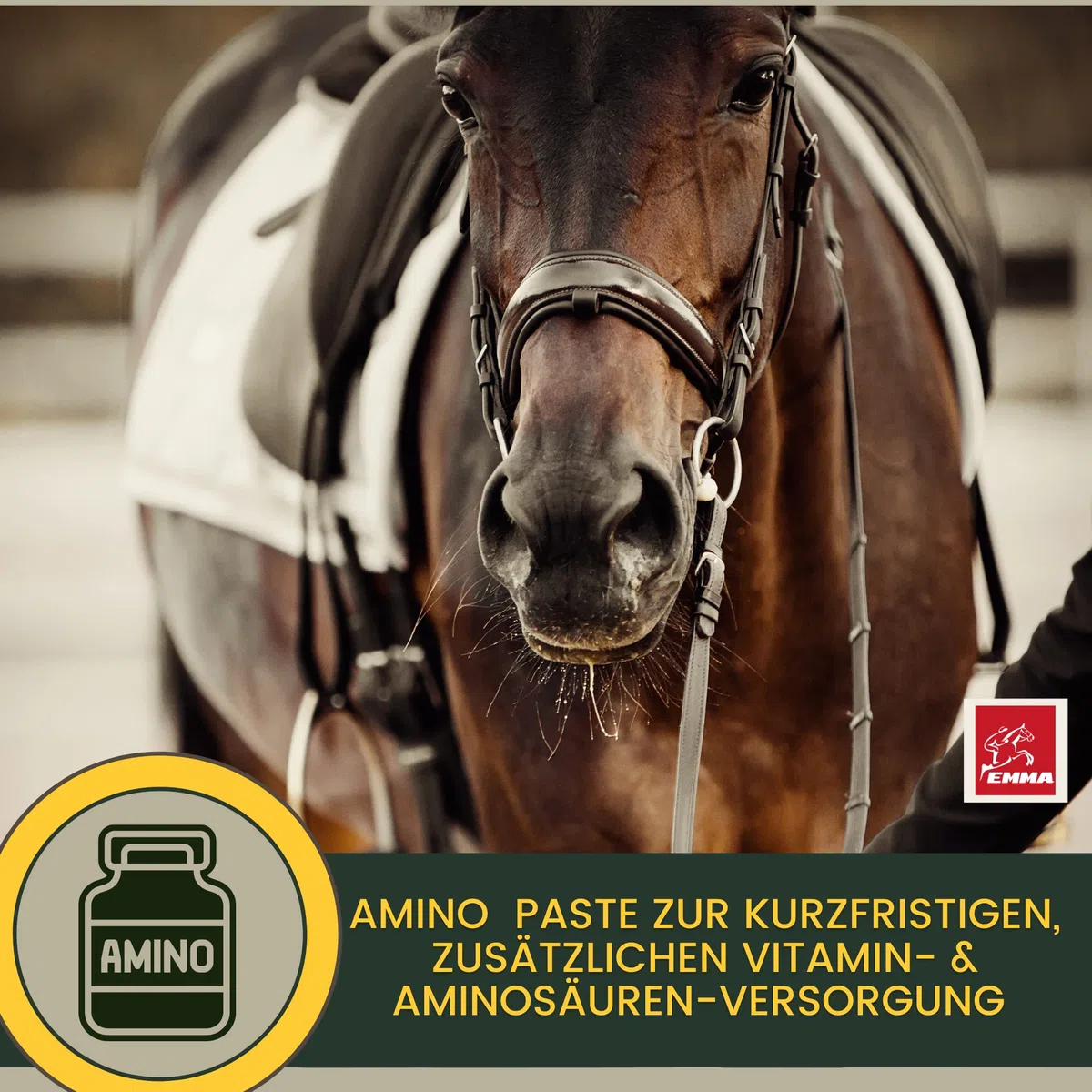 Pasta vitamínica para Caballos Aminoácidos Caballo Amino Vitamina E Levadura de Cerveza I Energía Alimento reconstituyente para músculos doloridos Regeneración Rendimiento Muscular Musculación 30ml