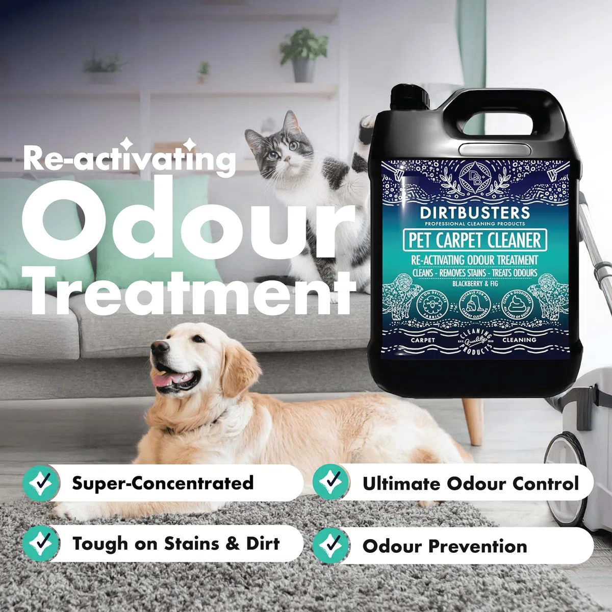 Dirtbusters Limpiador Concentrado de Moquetas, Alfombras y Tapicería para Mascotas. Elimina Manchas y Olores de Orina y Heces. Apto para Máquinas de limpieza. Aroma a Higo y Zarzamora. 1 x 5 Litros