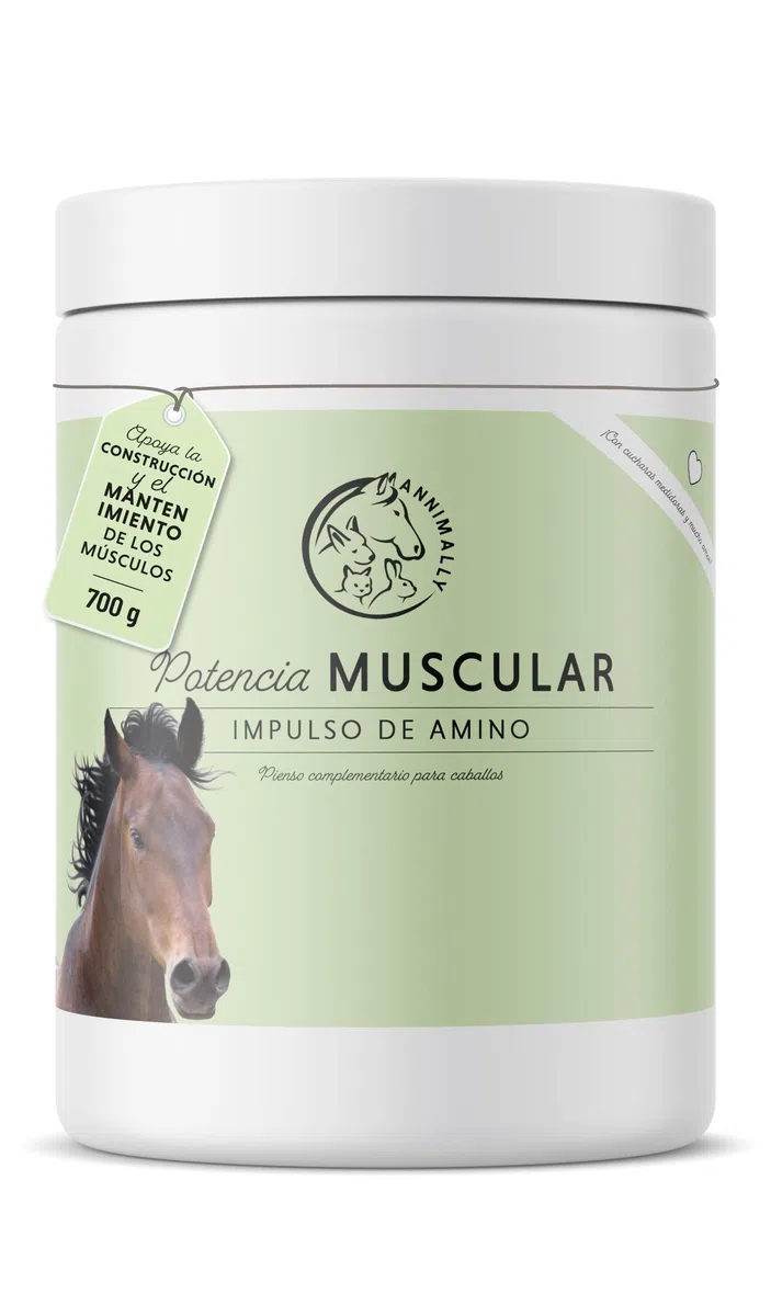 Polvo para el Desarrollo Muscular para Caballos de 700 g con proteína de Soja, lisina, carnitina, treonina, metionina: suplemento aminoácido para el fortalecimiento de la Musculatura en Caballos