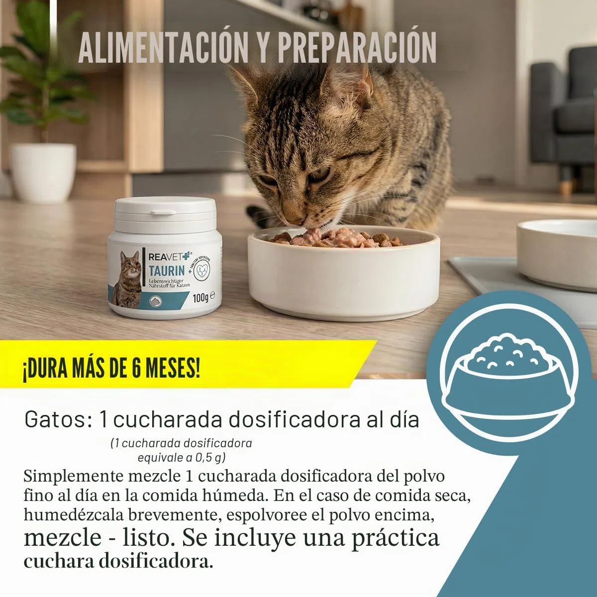 ReaVET Taurina para gatos 100 g – Apoyo cardiovascular, polvo de taurina 100% puro, aminoácidos que apoyan las defensas y el metabolismo celular